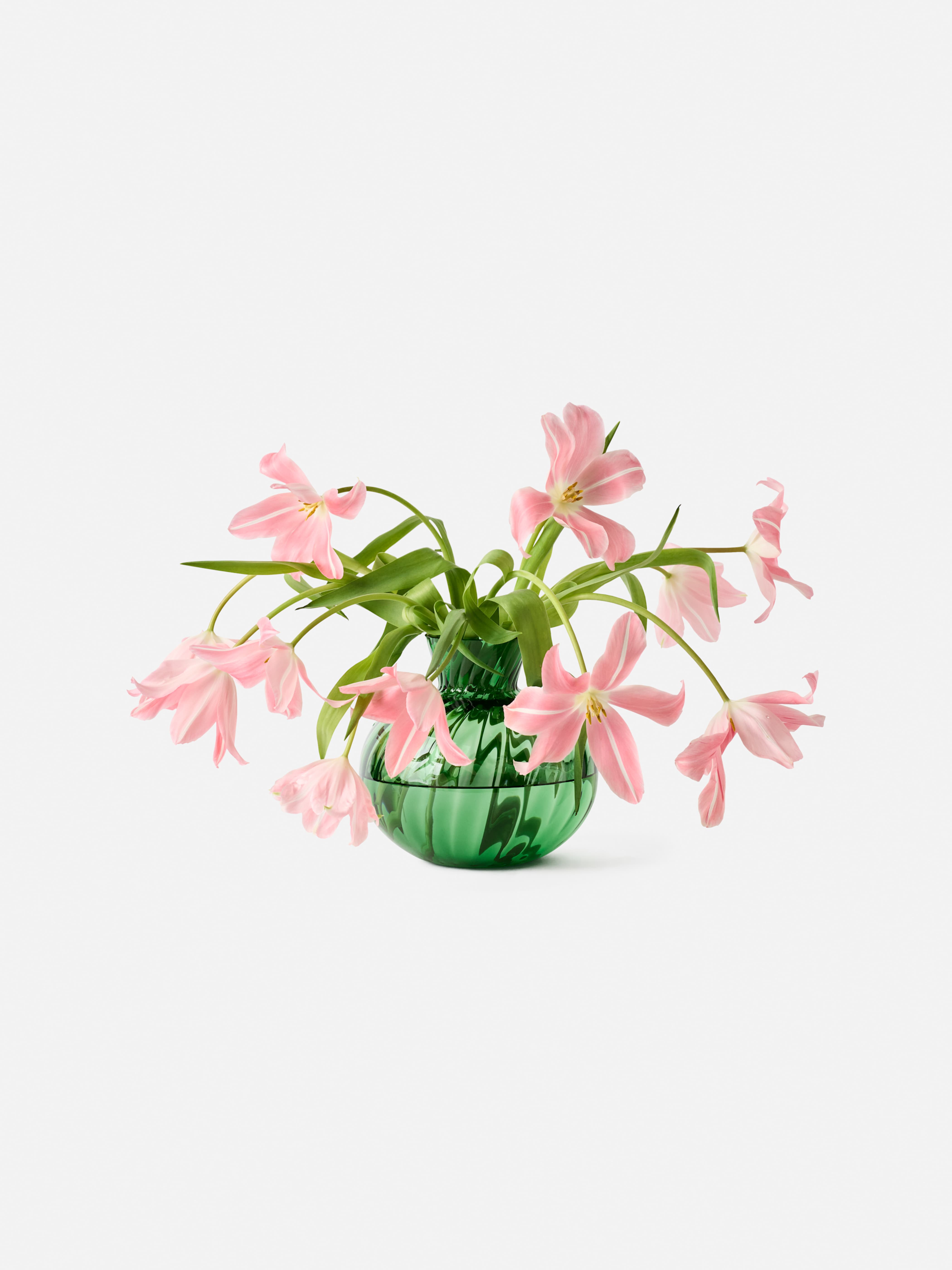 Product image thumbnail 1 of 0