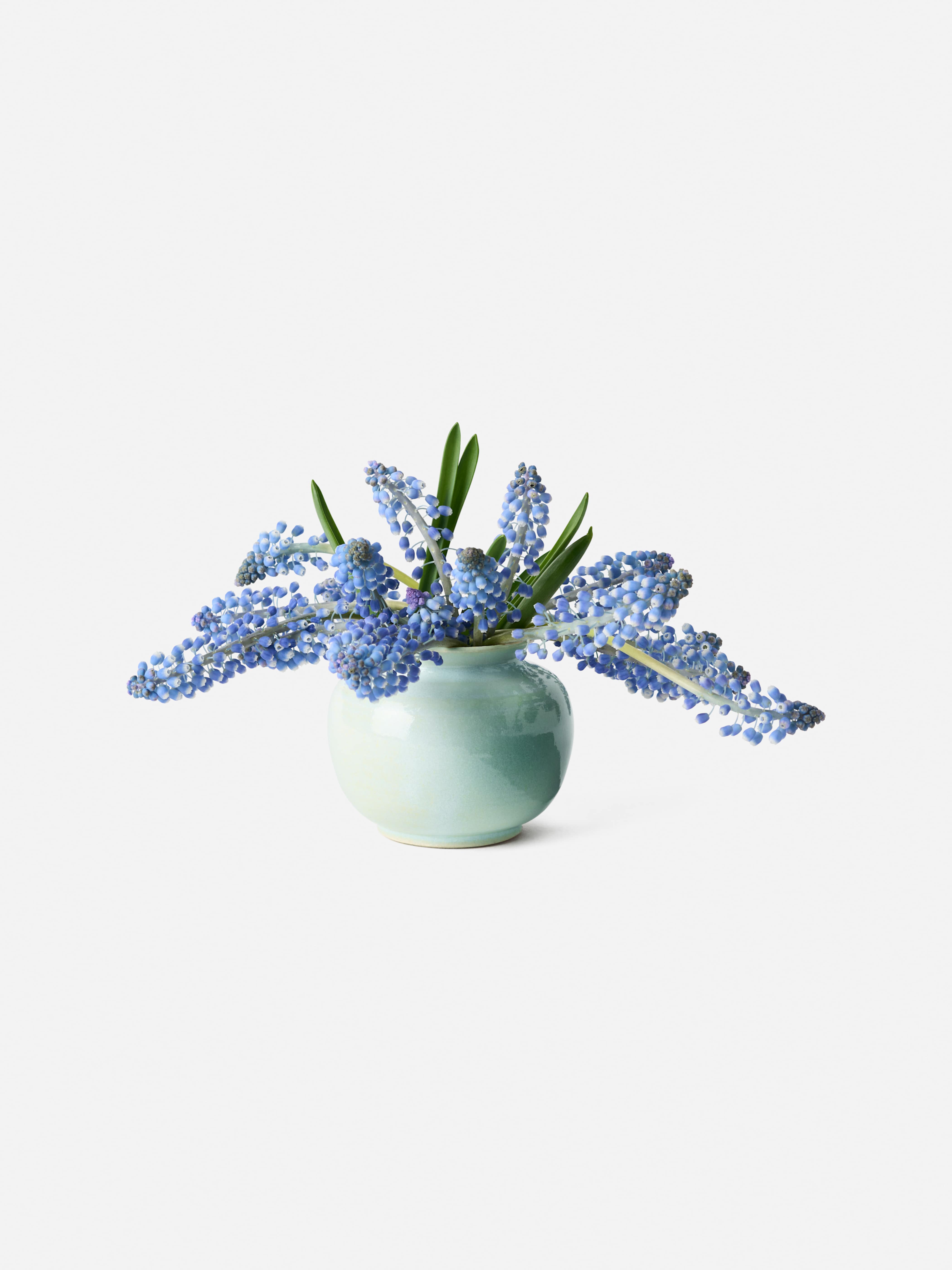 Product image thumbnail 1 of 0