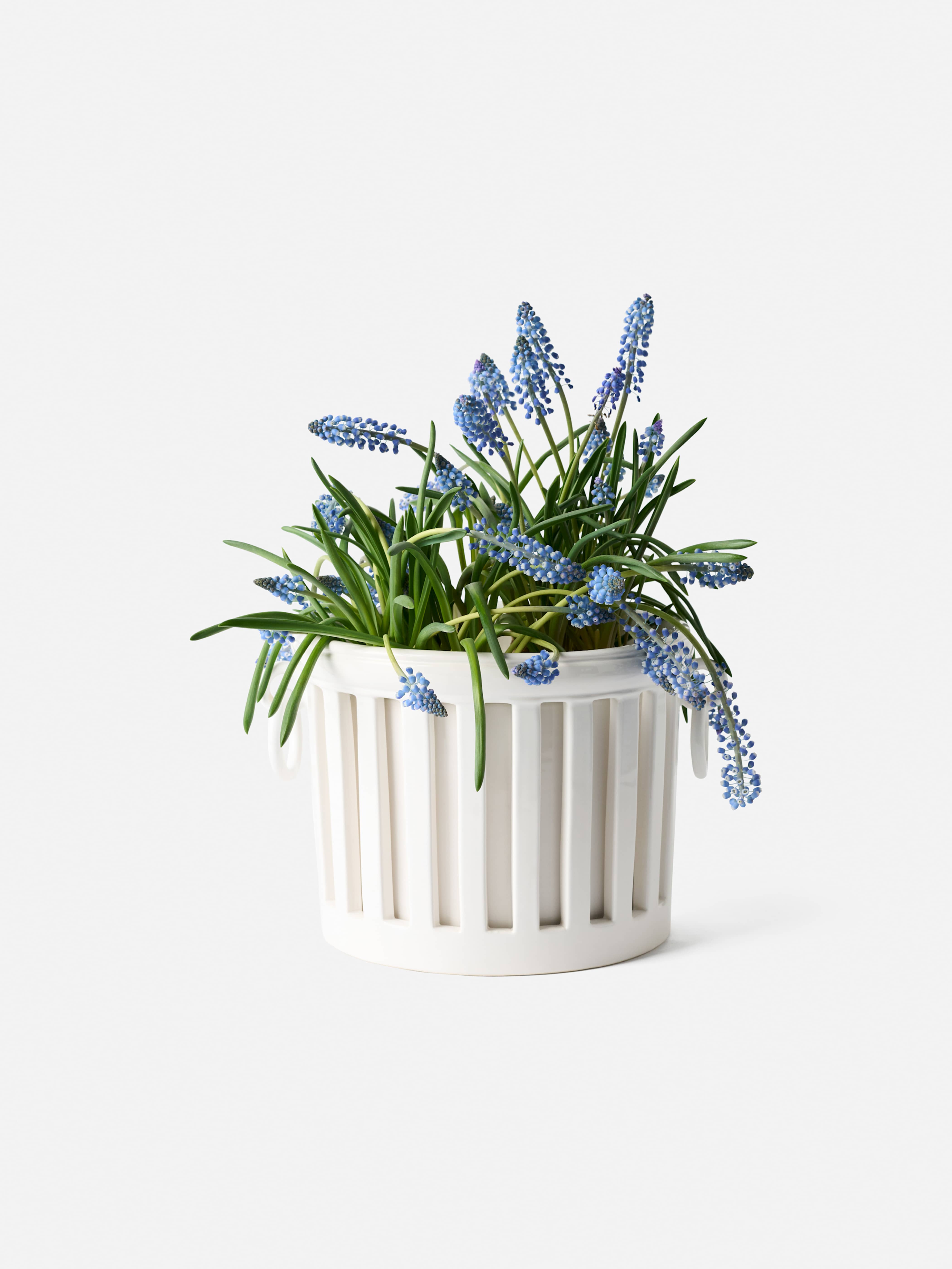 Product image thumbnail 1 of 0