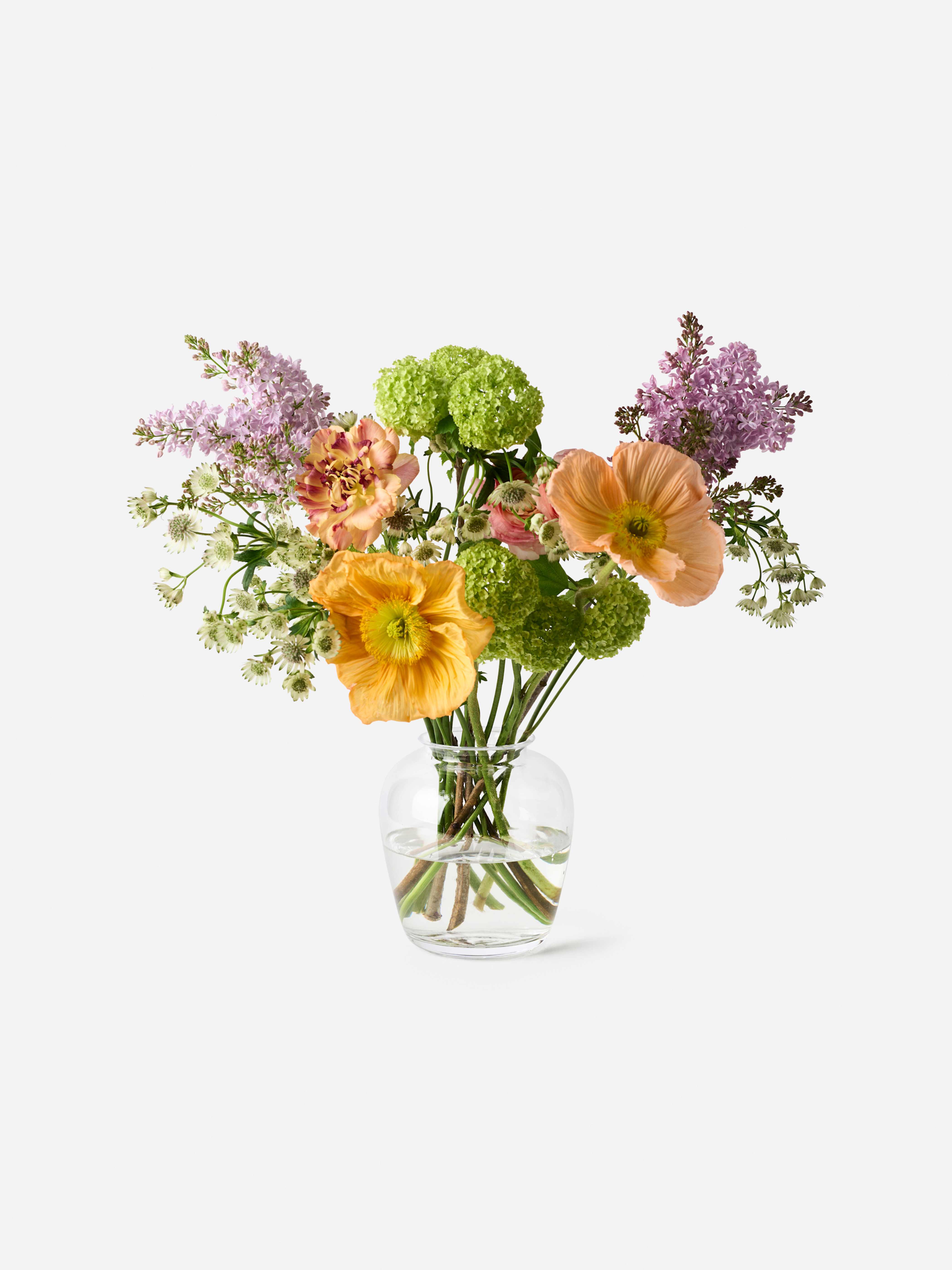 Product image thumbnail 1 of 0