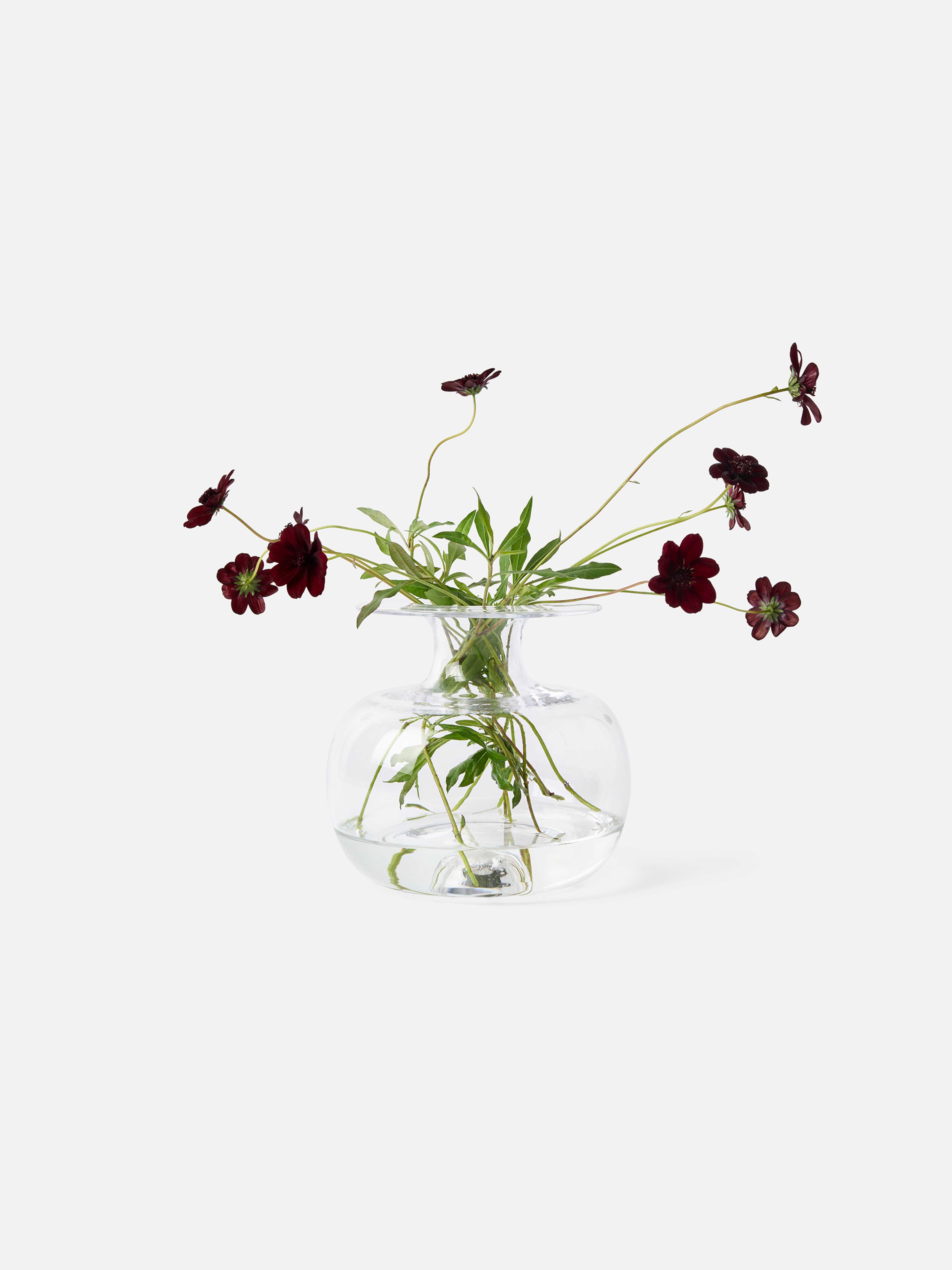 Product image thumbnail 1 of 0