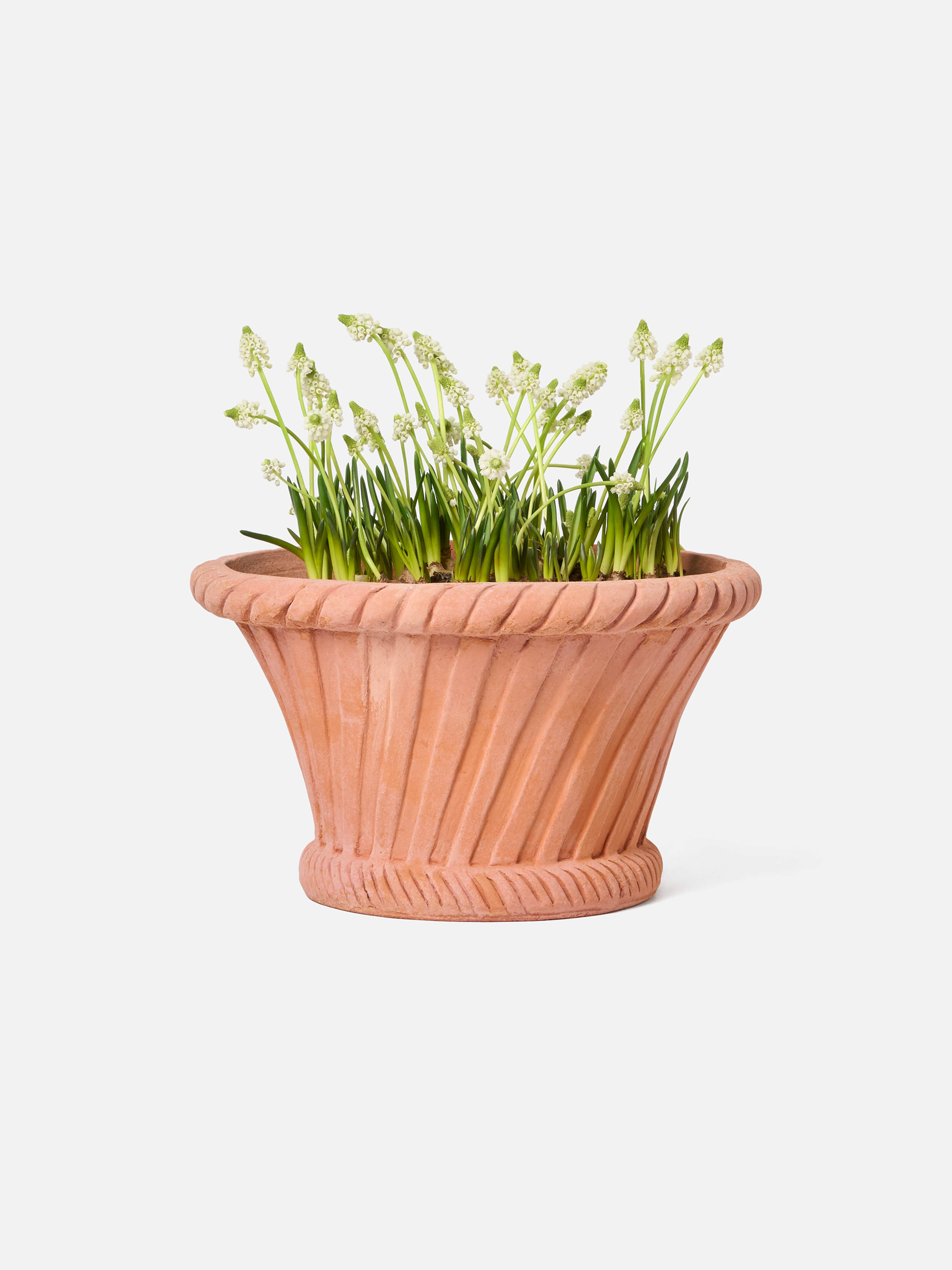 Product image thumbnail 4 of 0