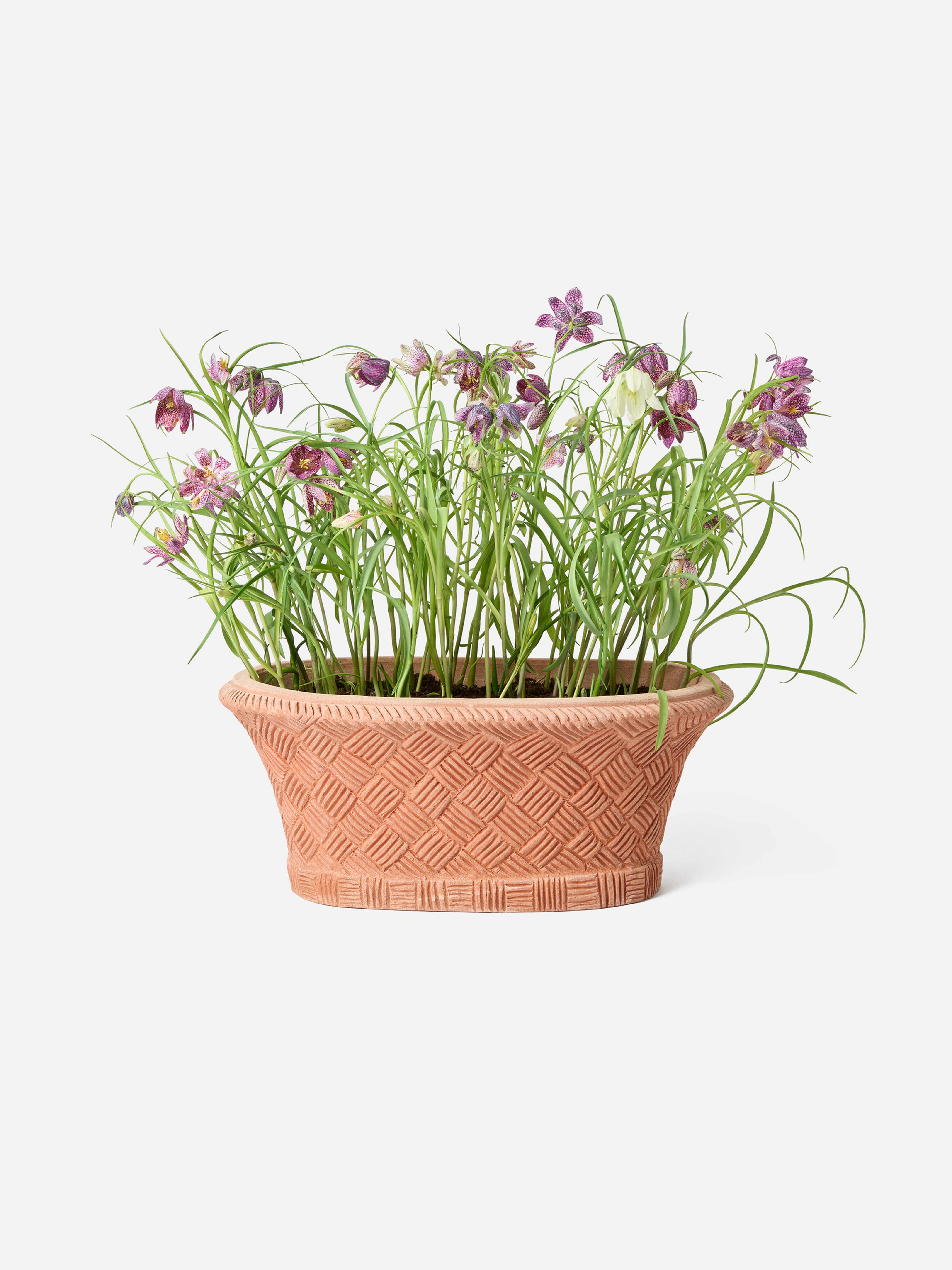 Product image thumbnail 3 of 0