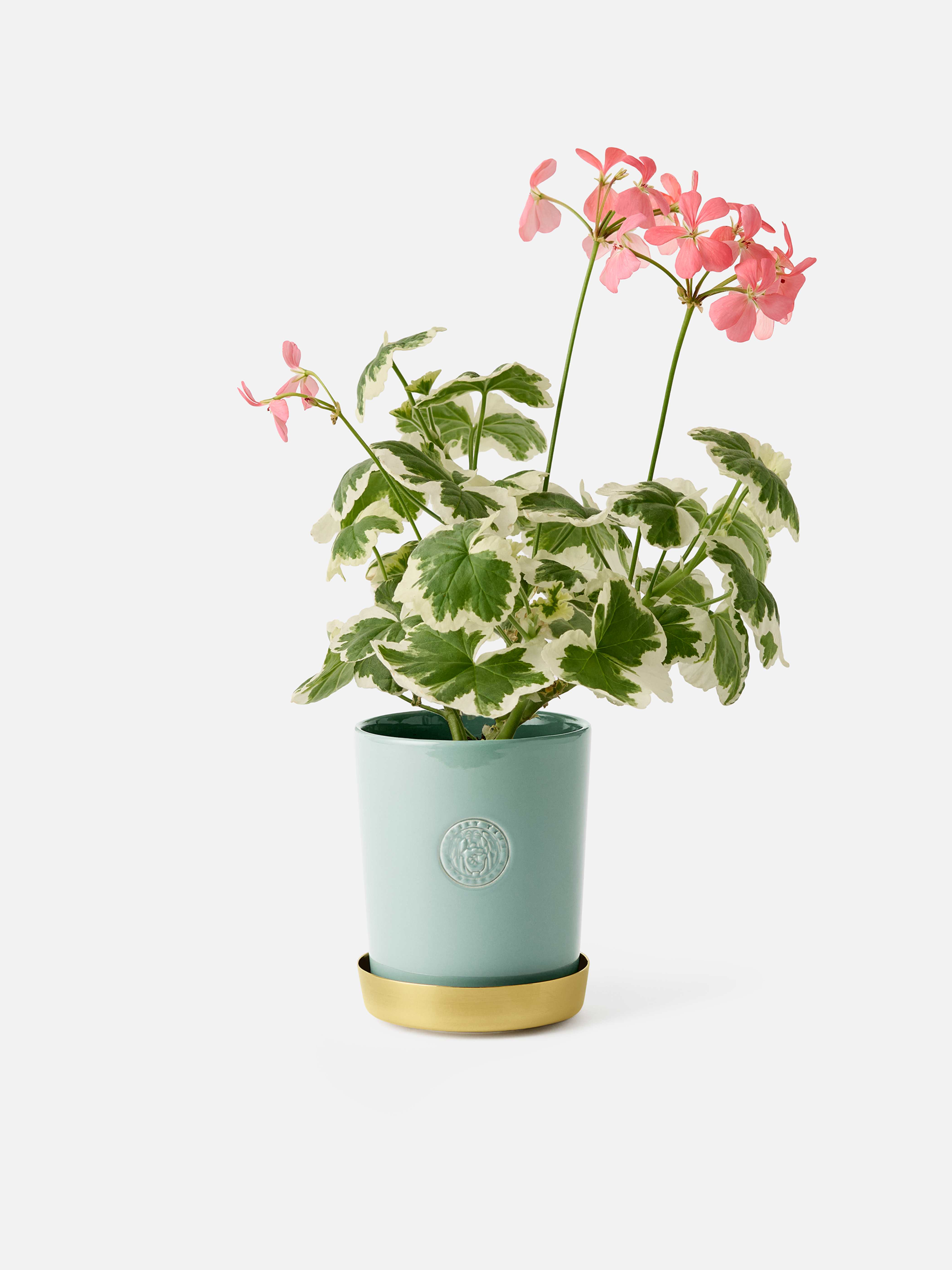 Product image thumbnail 3 of 0