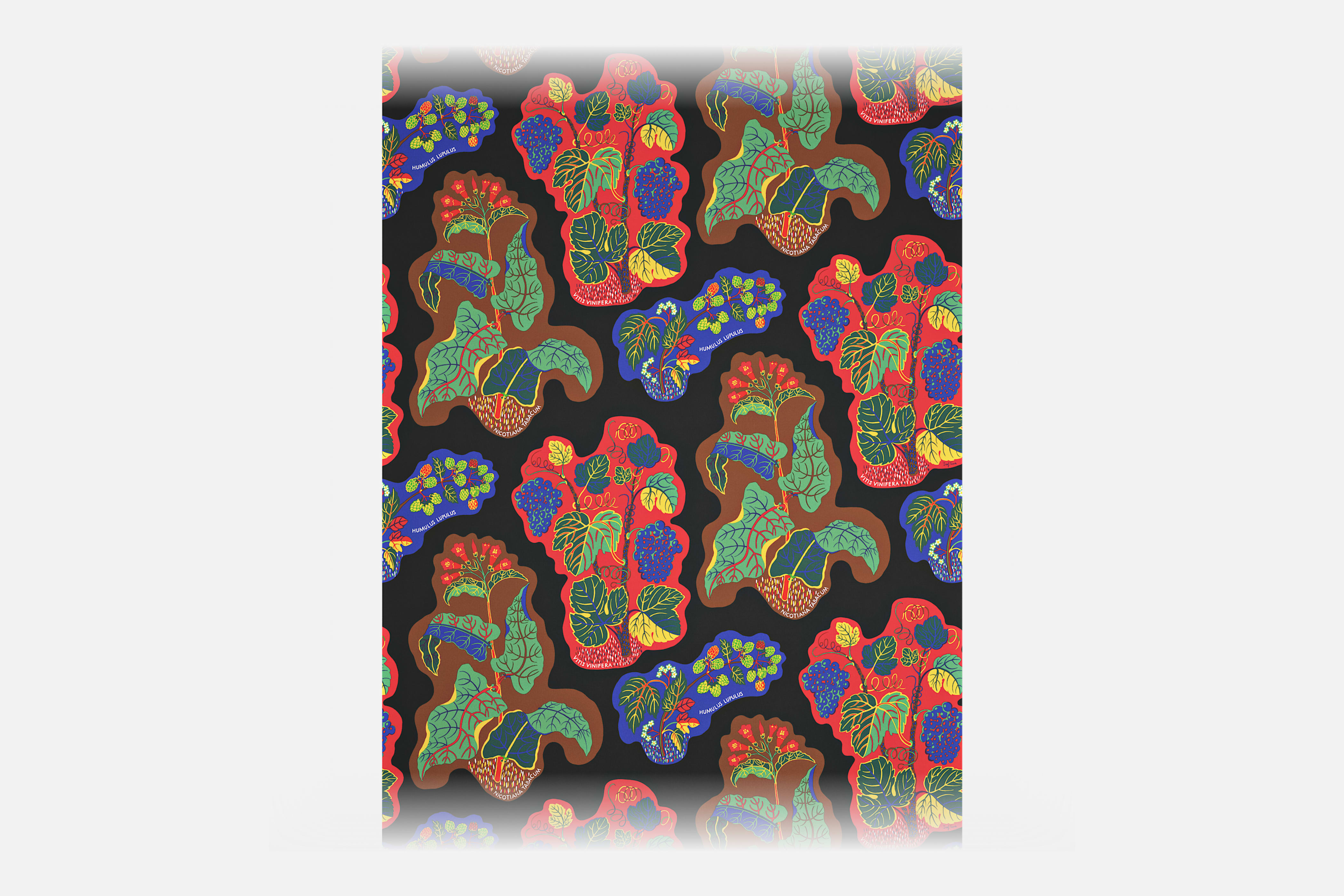 Product detail image 1 / 0