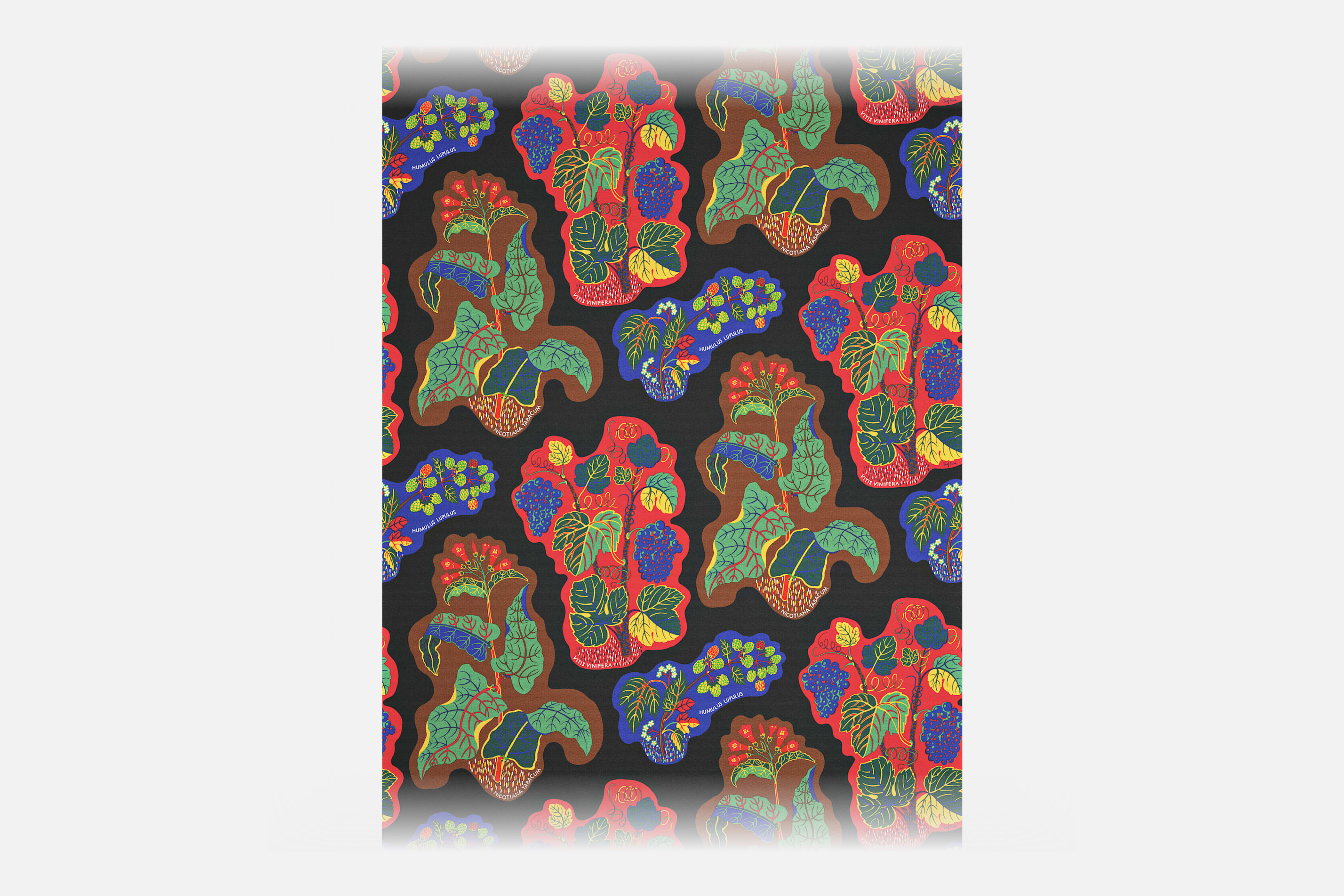 Product detail image 1 / 0