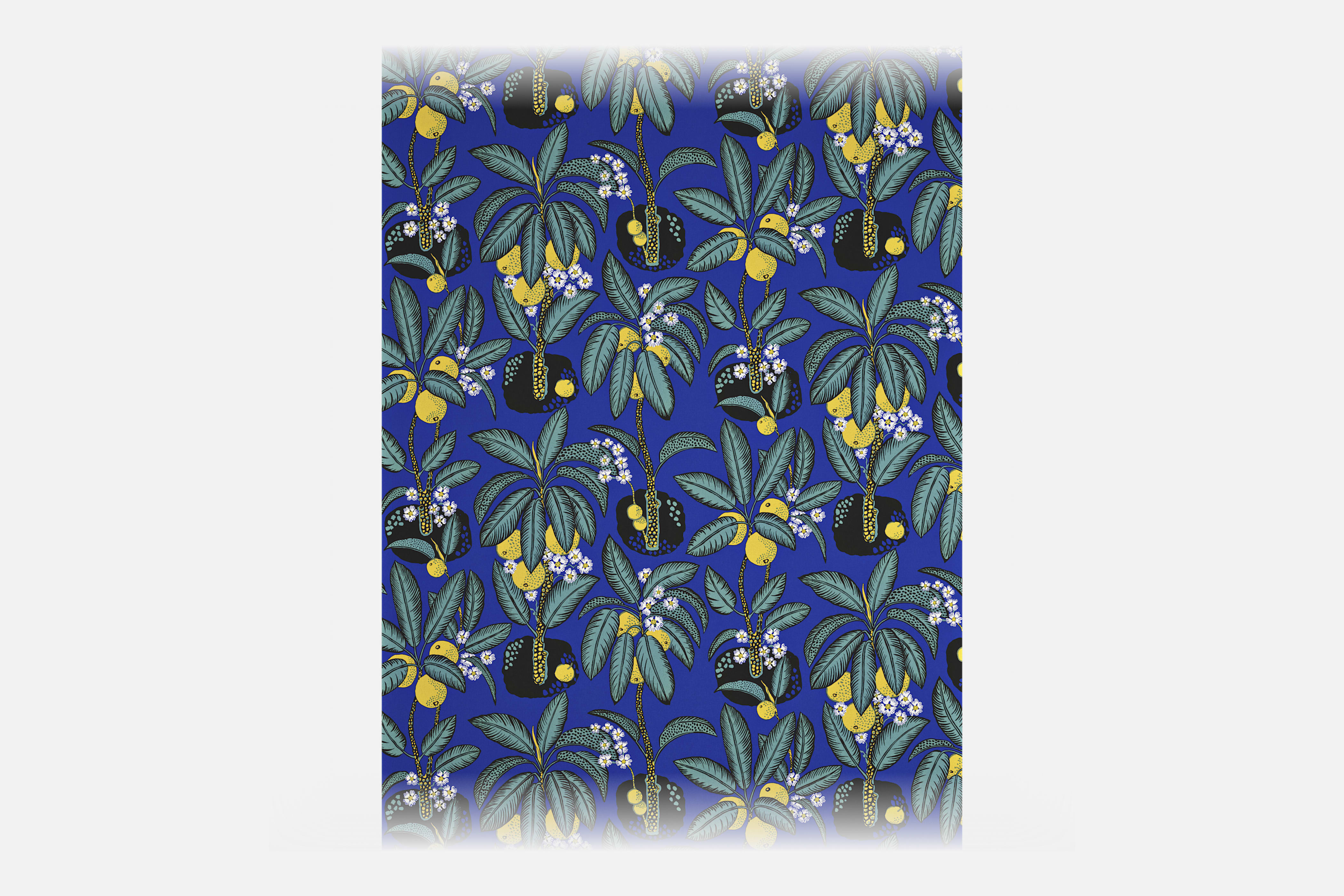 Product detail image 1 / 0
