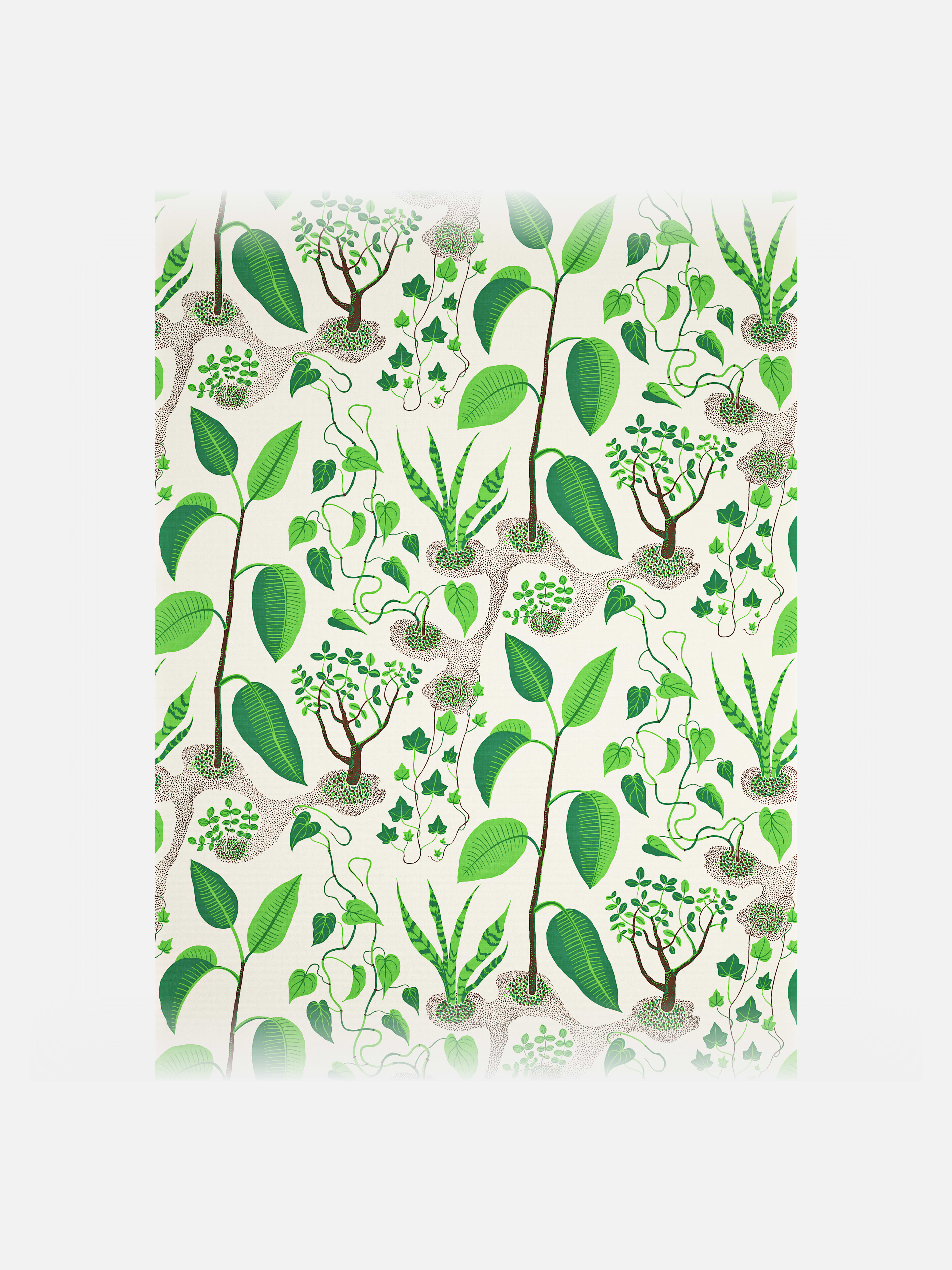 Fabric Sample Window