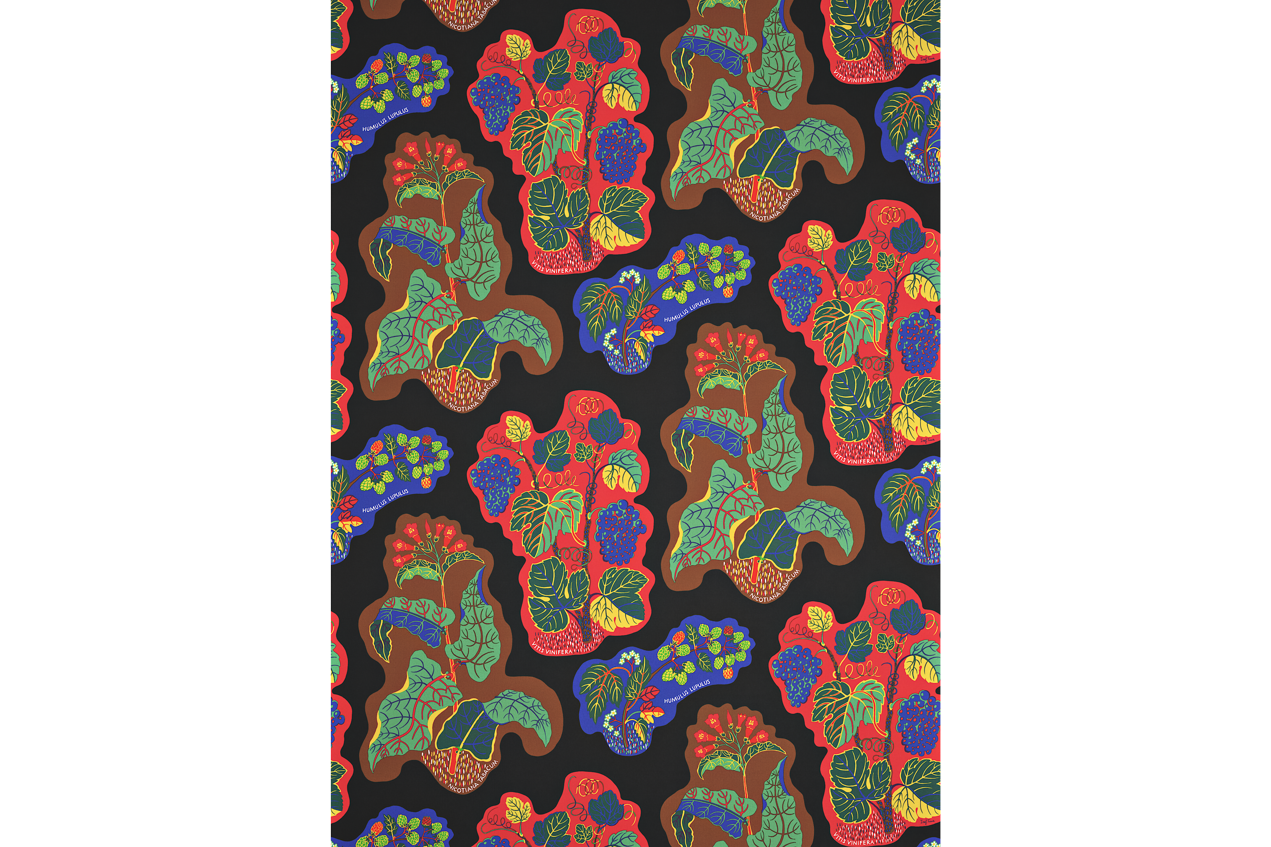 Product detail image 1 / 0