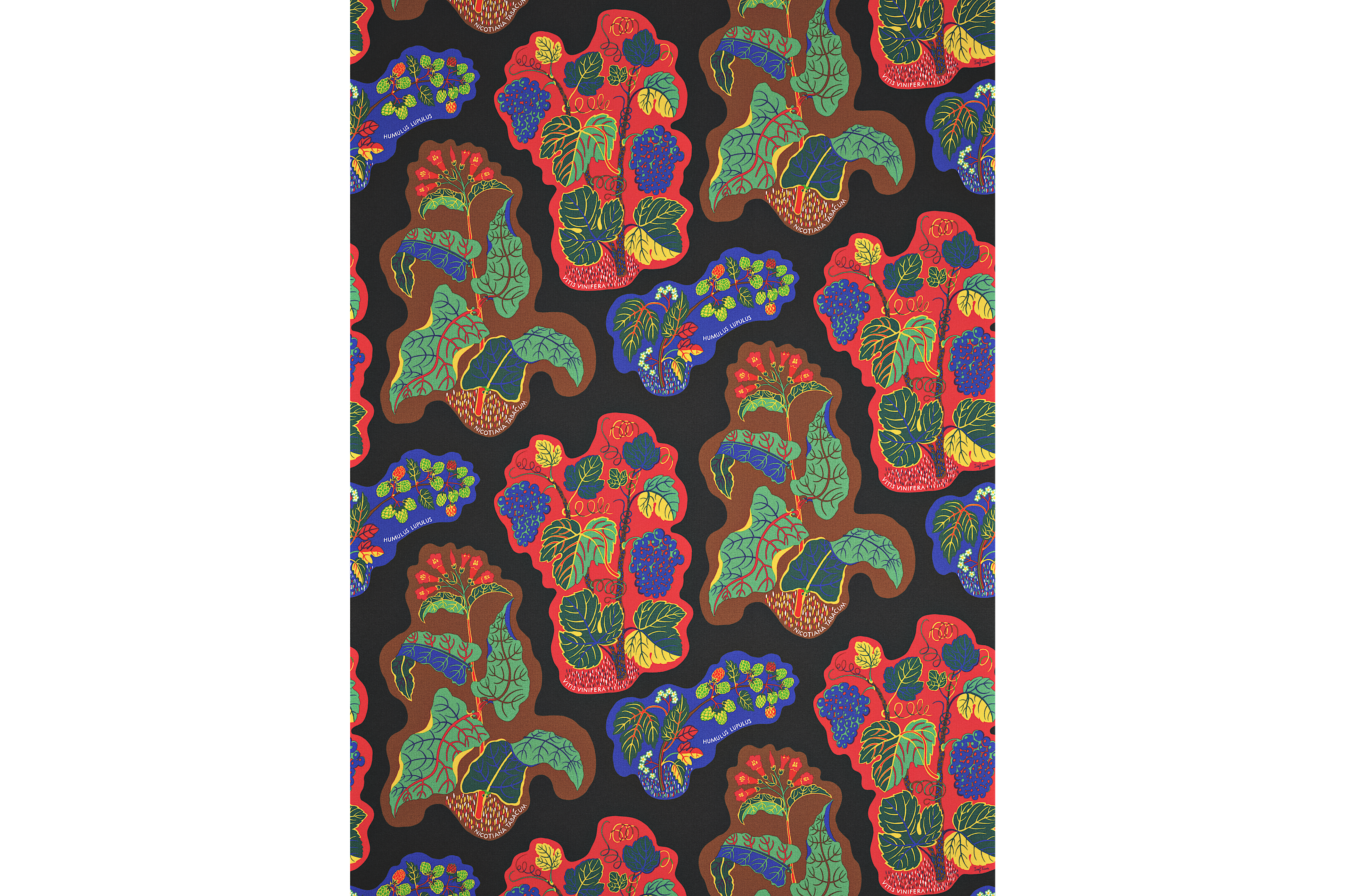 Product detail image 1 / 0