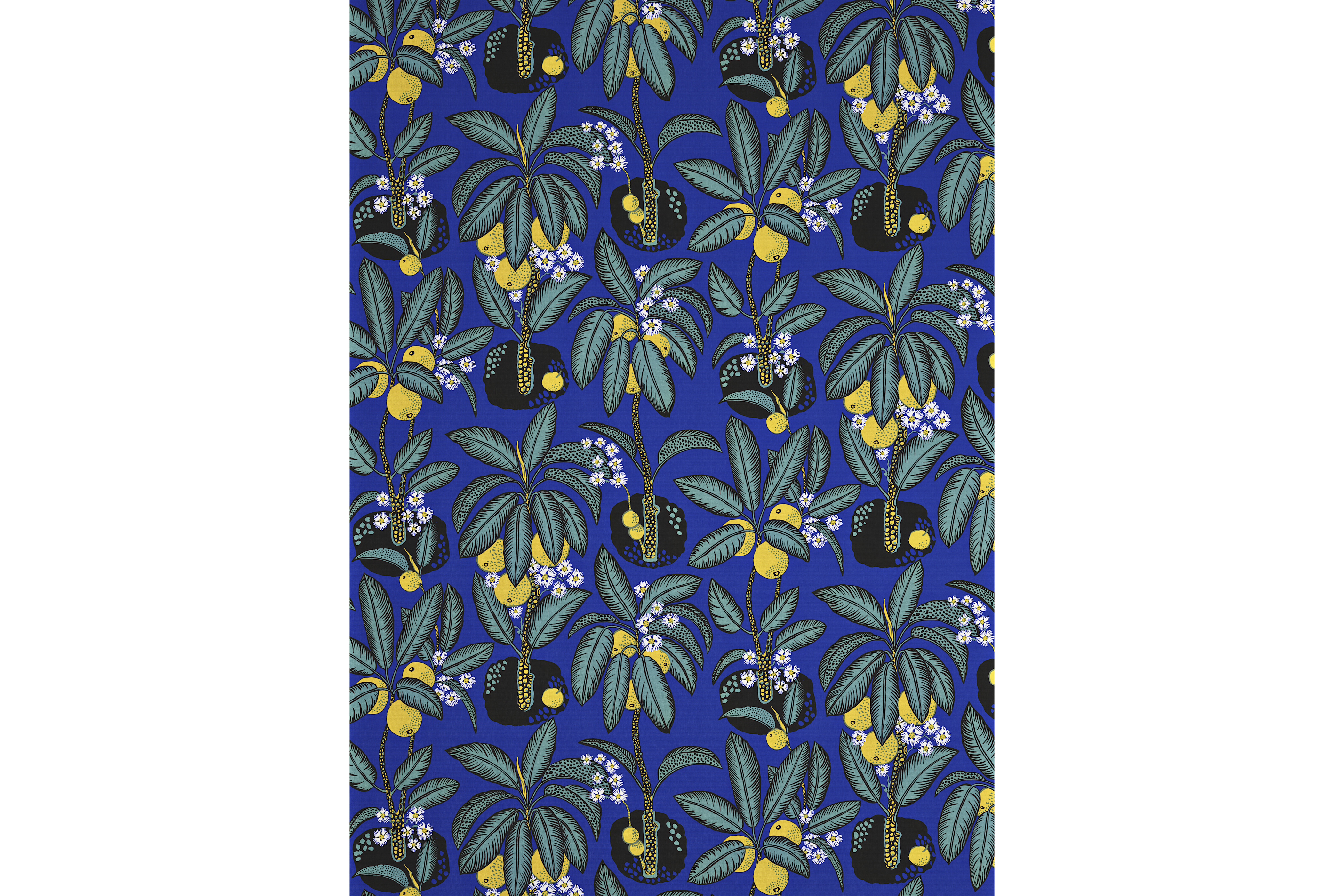 Product detail image 1 / 0