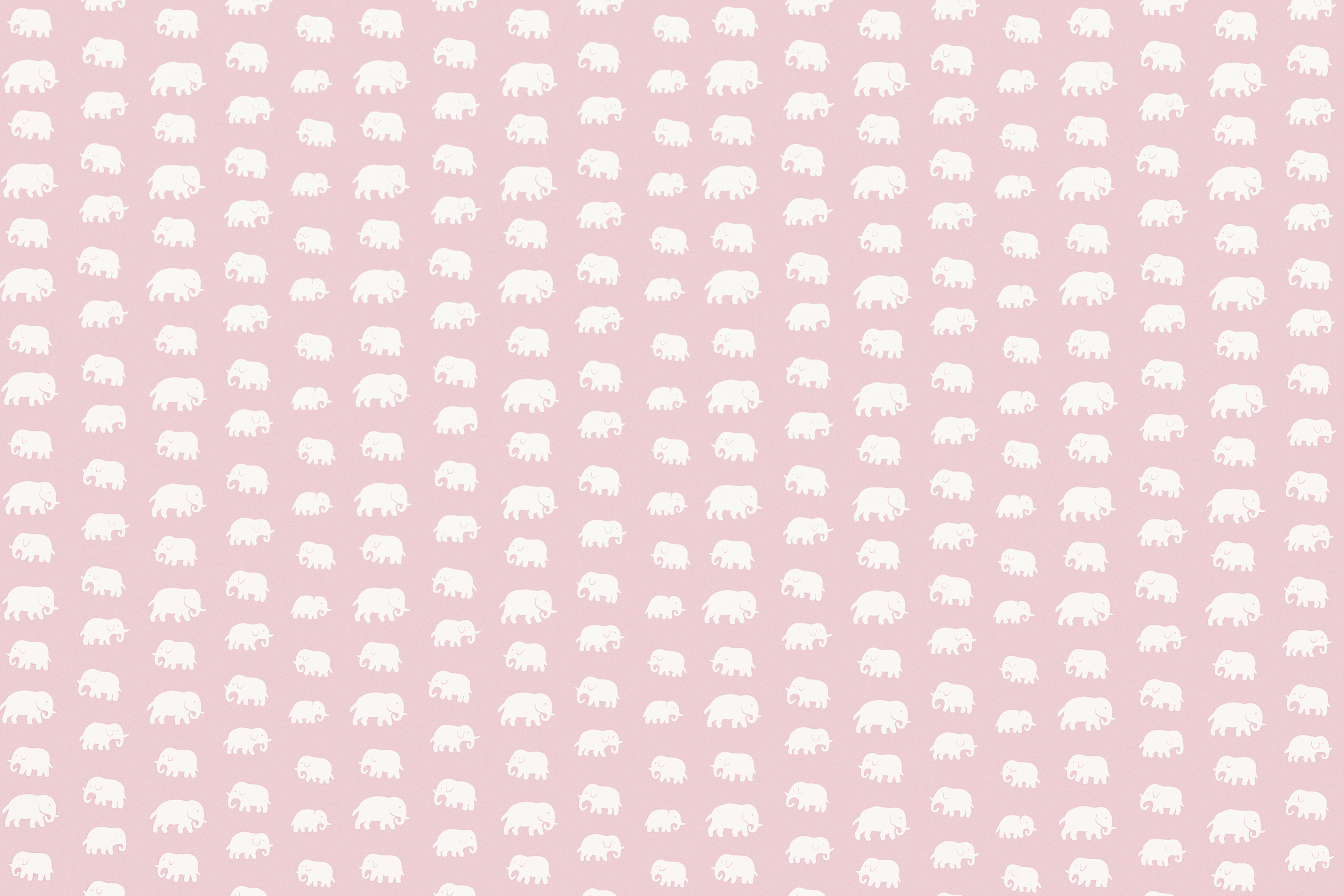 Product detail image 1 / 0