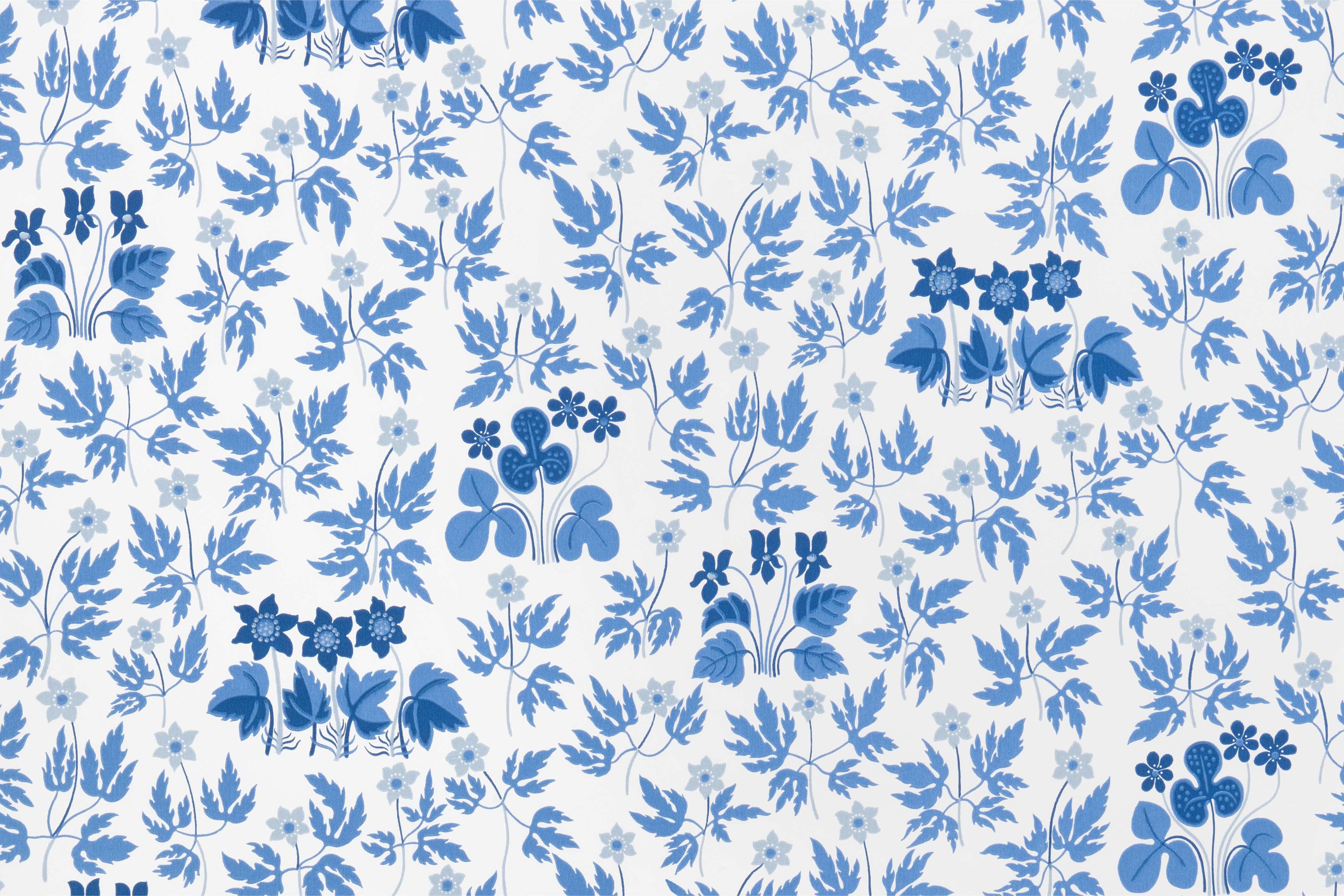 Product detail image 1 / 0