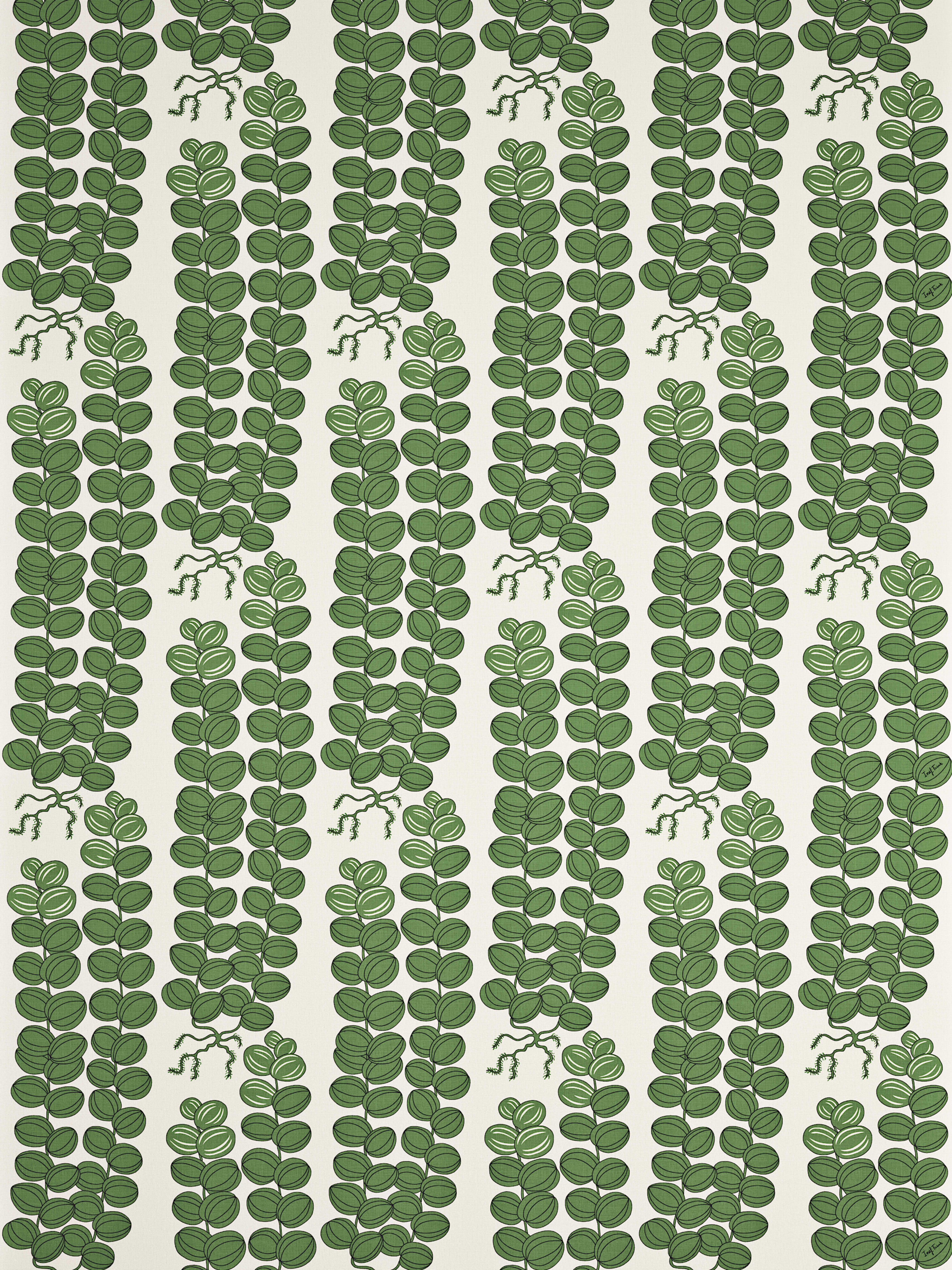 Textil Celotocaulis