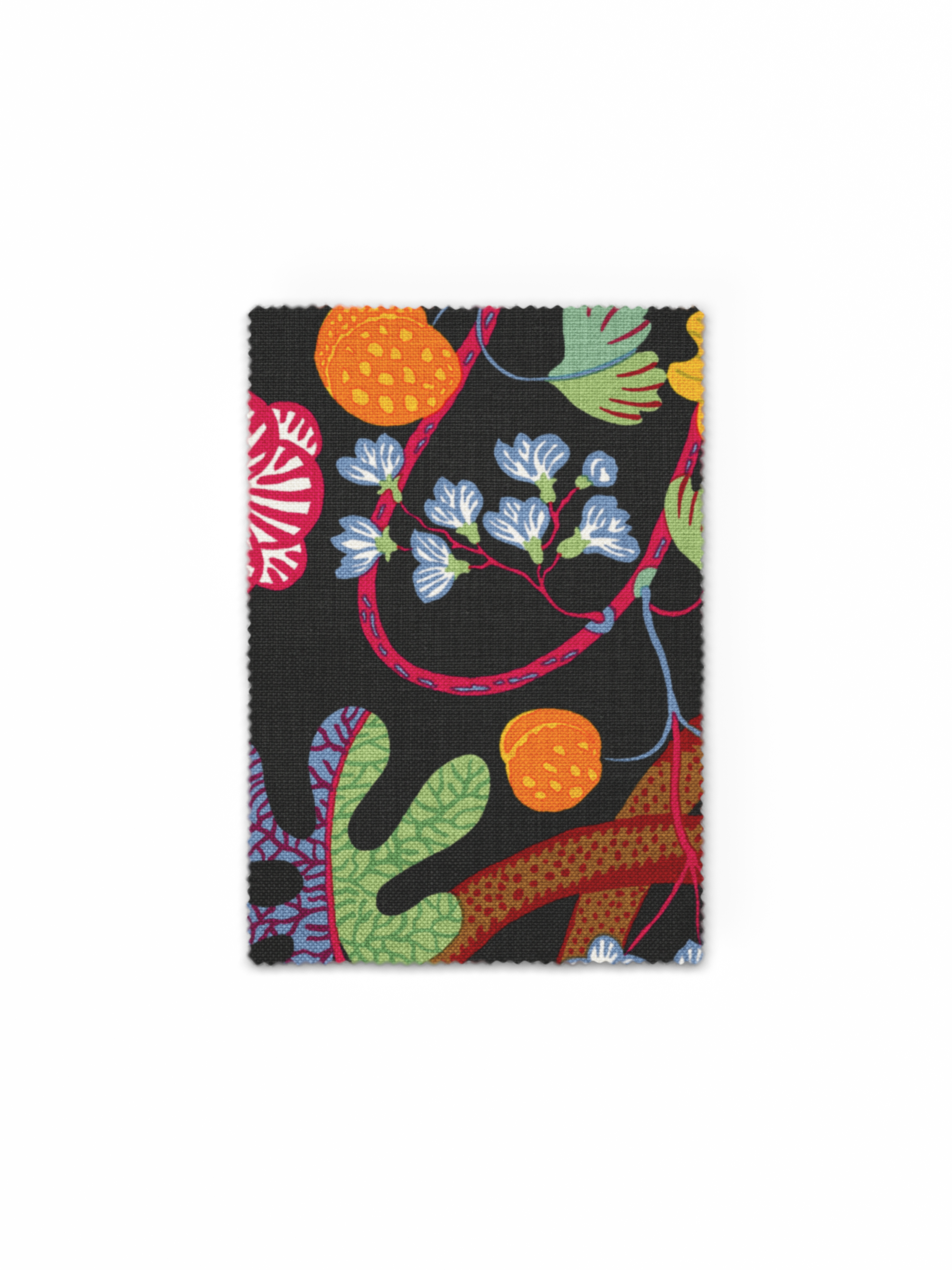 Fabric Sample Baranquilla