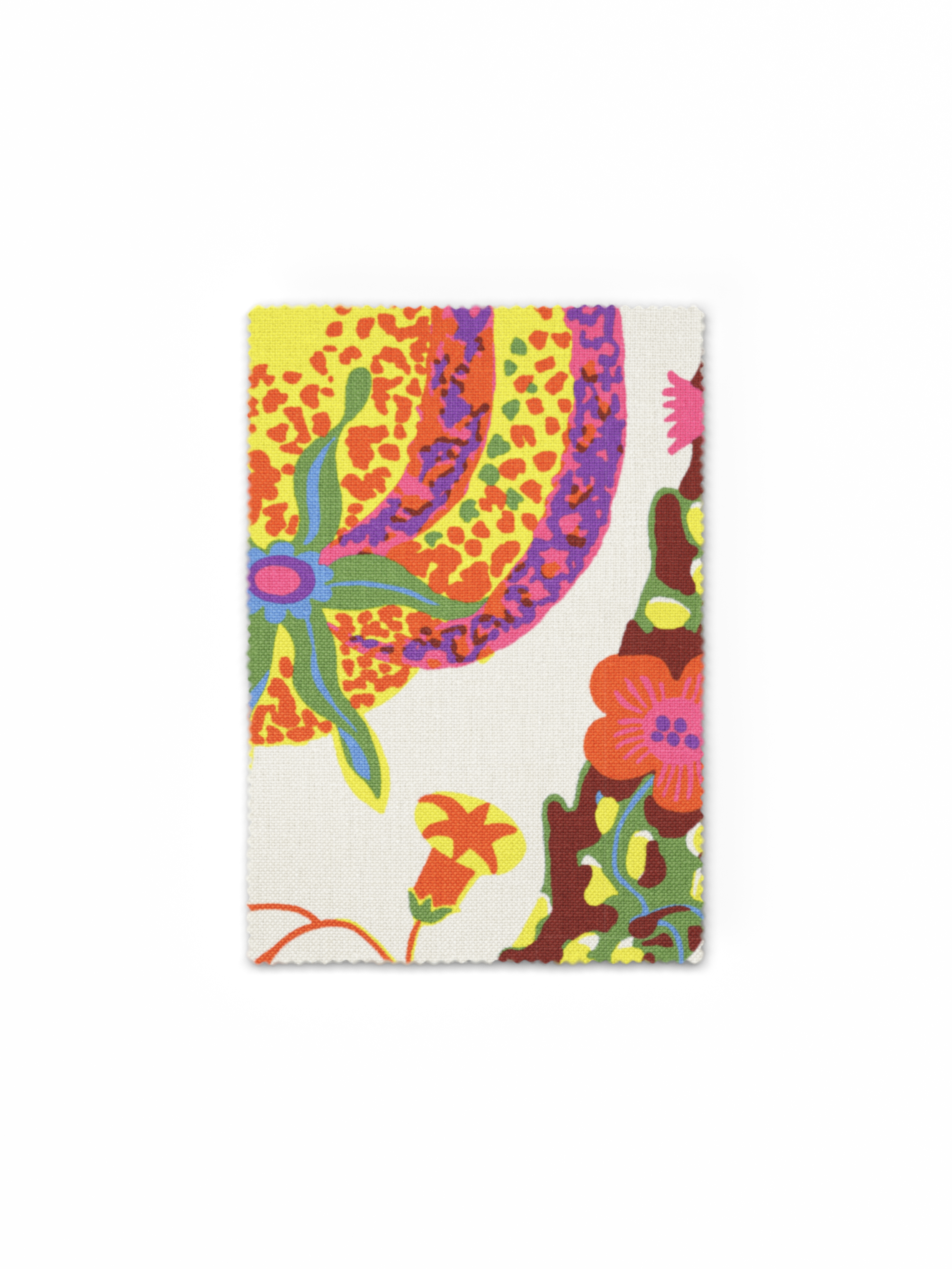 Fabric Sample Brazil