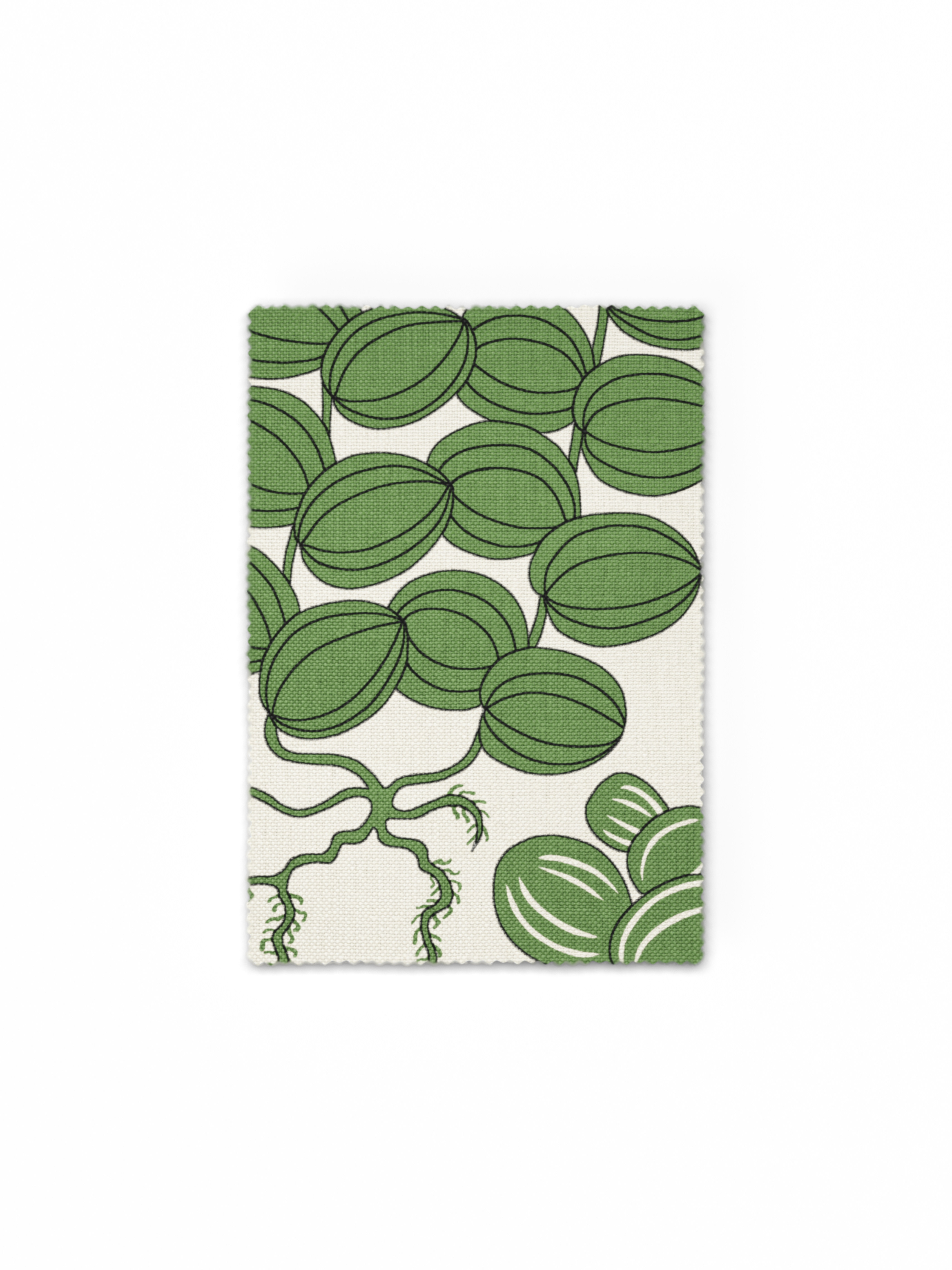 Fabric Sample Celotocaulis