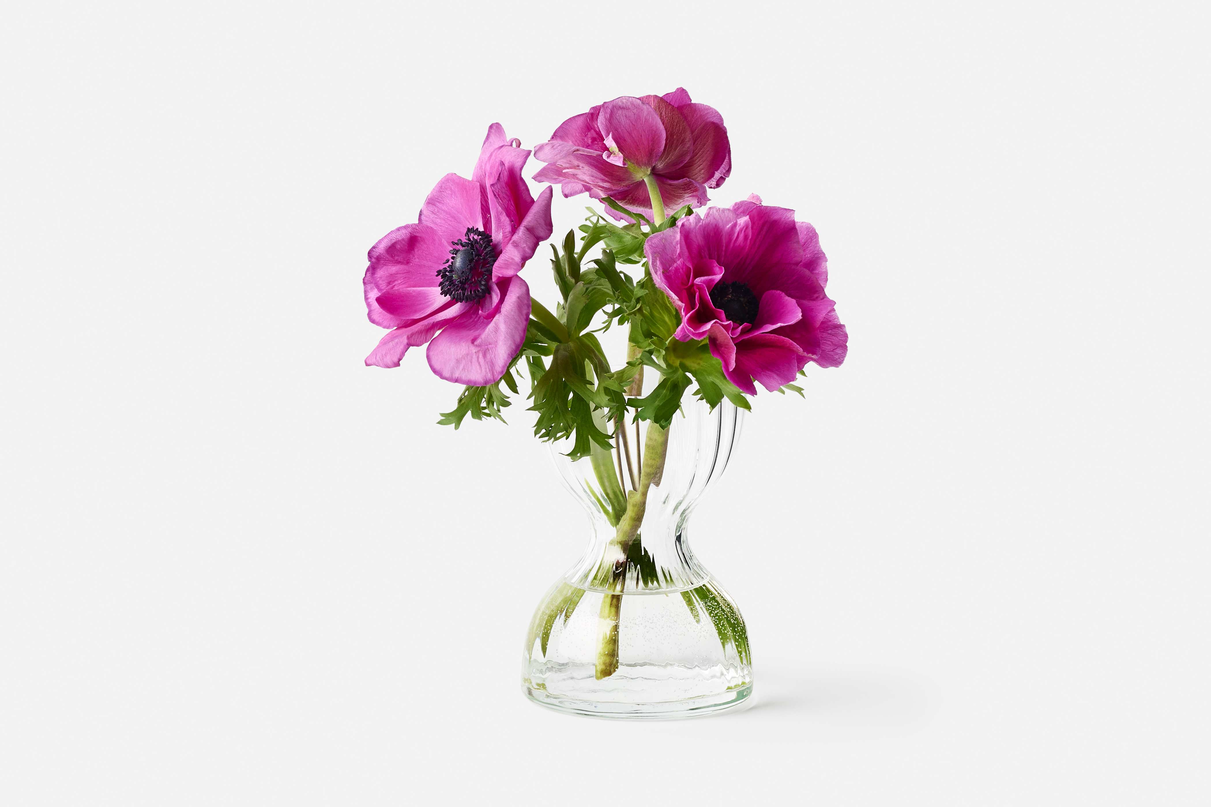 Product detail image 1 / 0