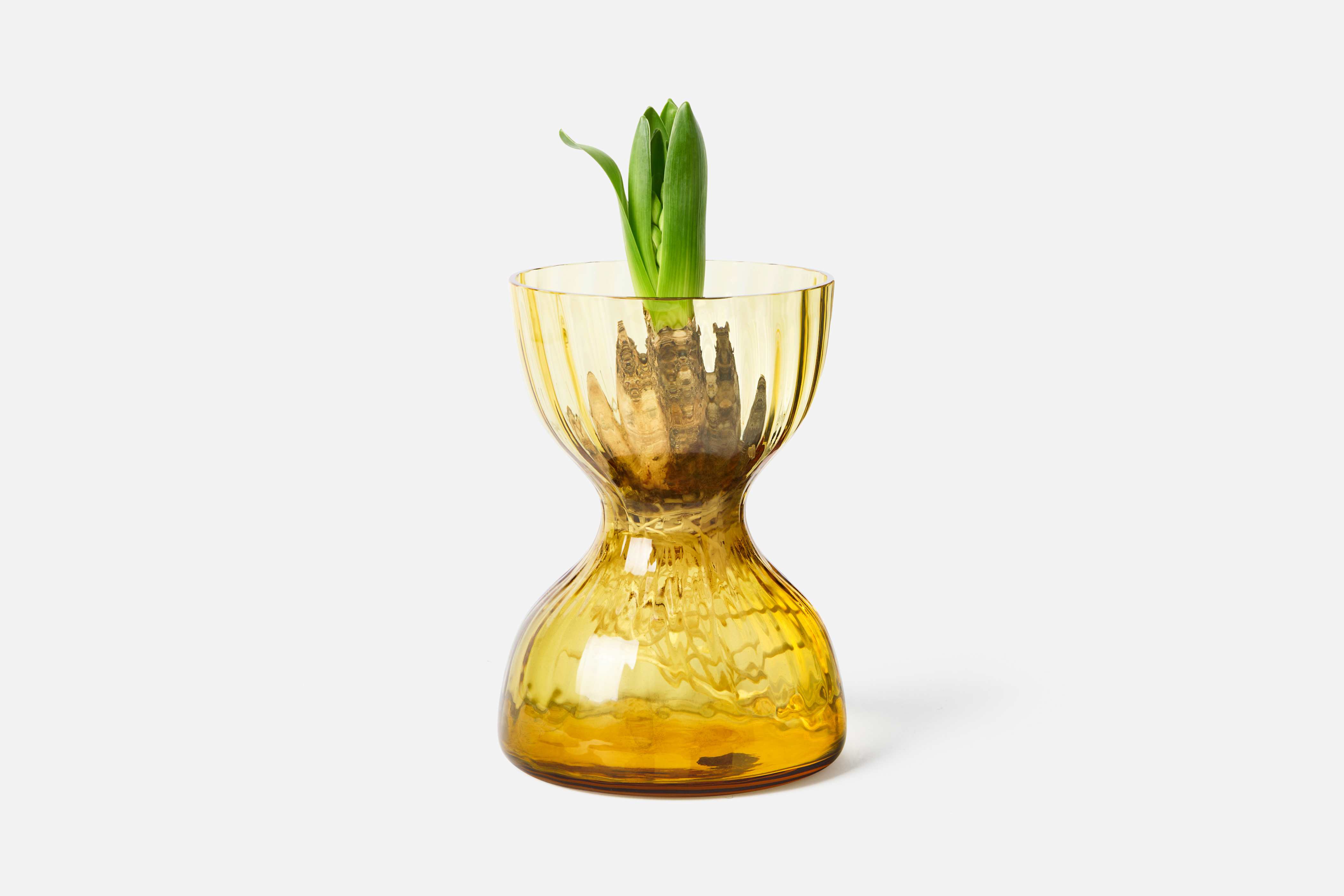 Product detail image 1 / 0