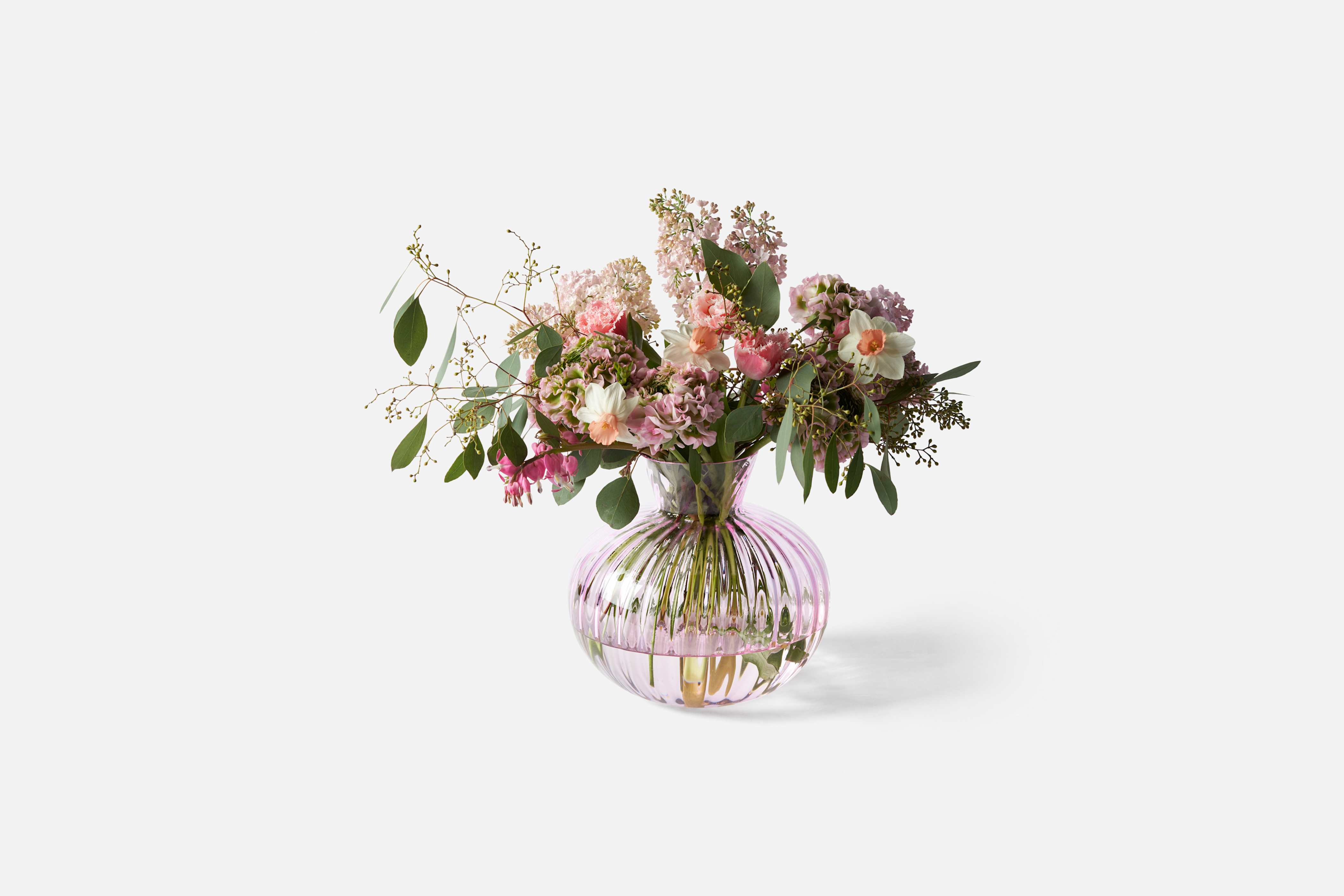 Product detail image 1 / 0
