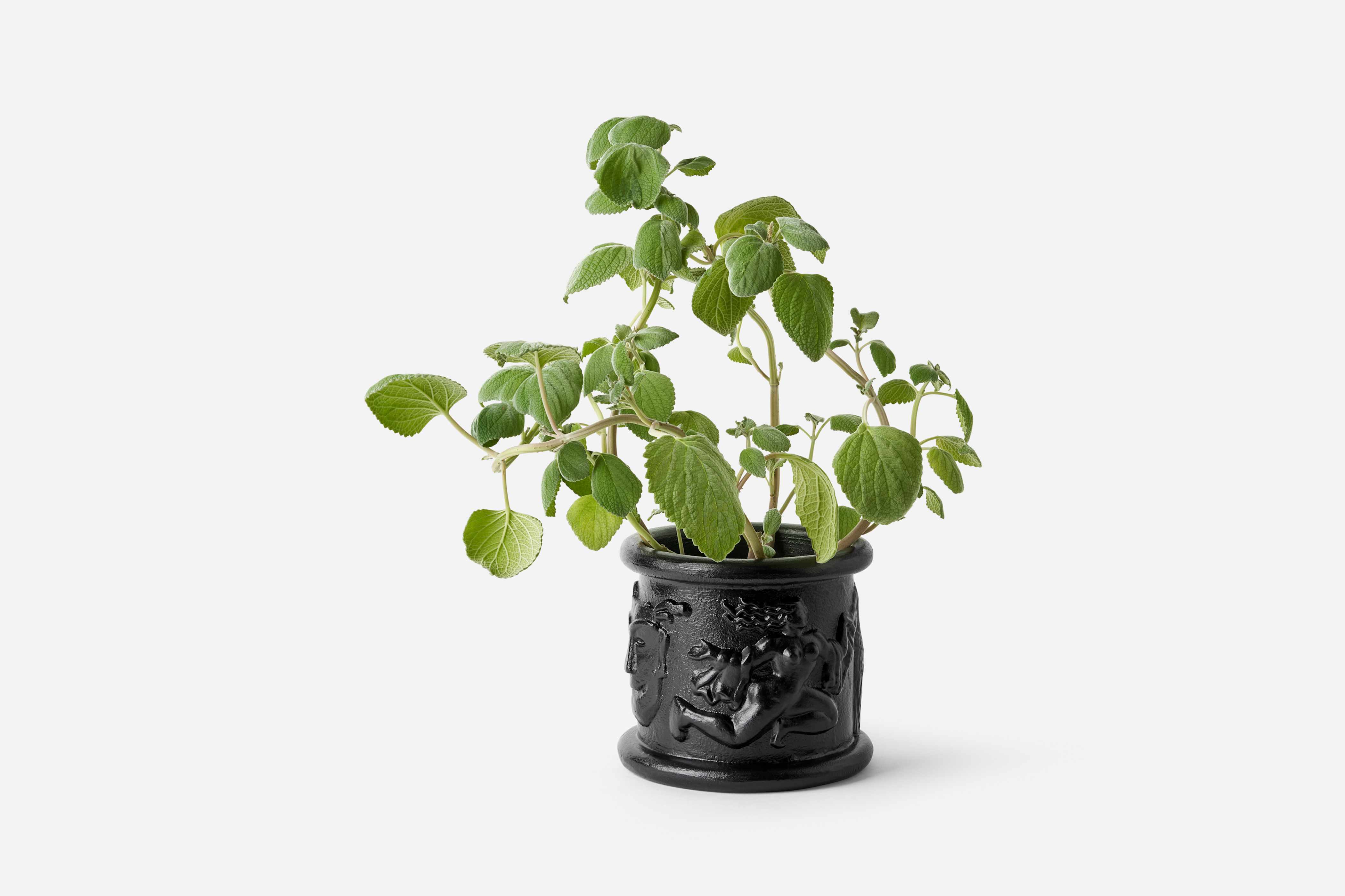 Product detail image 1 / 0