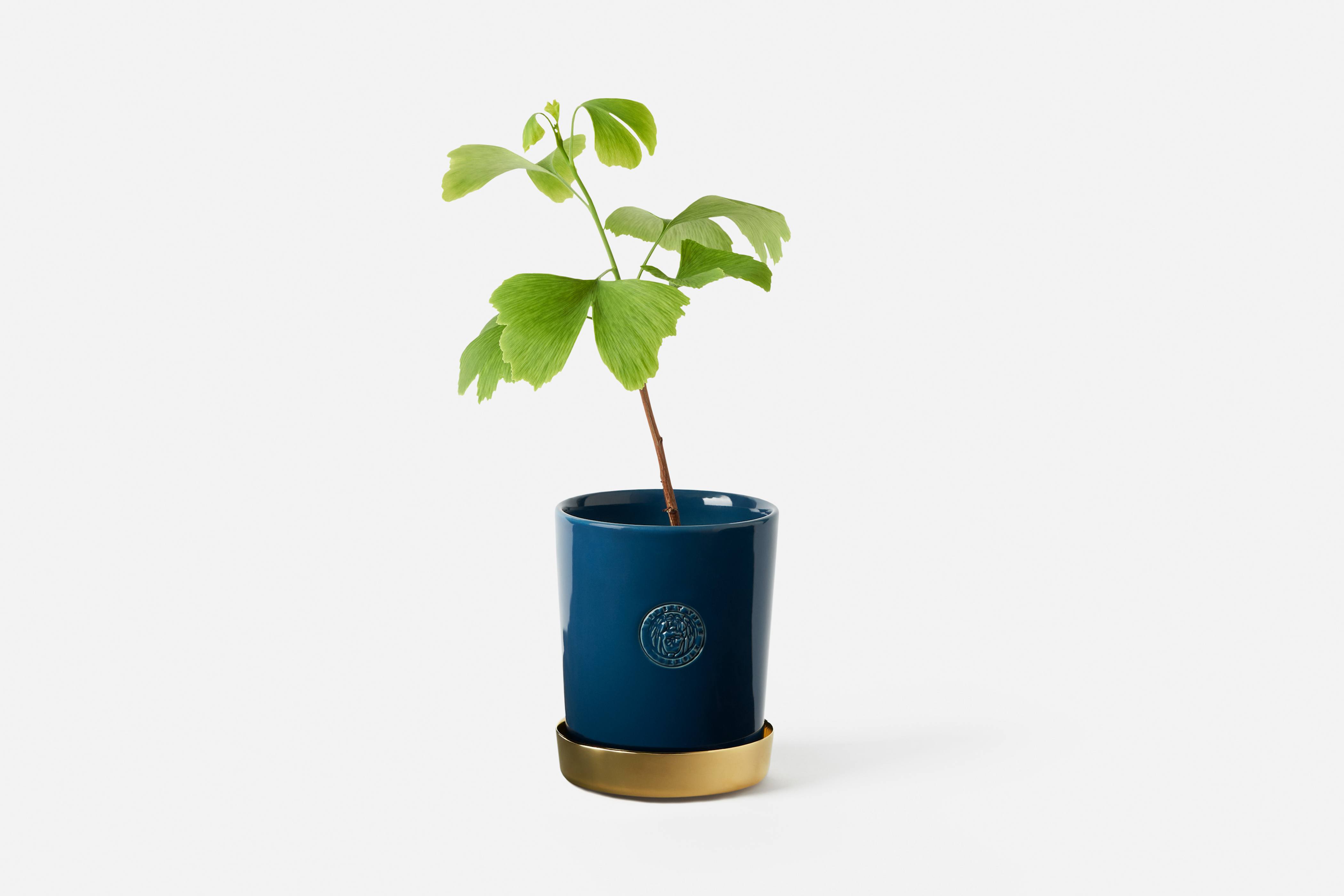 Product detail image 1 / 0