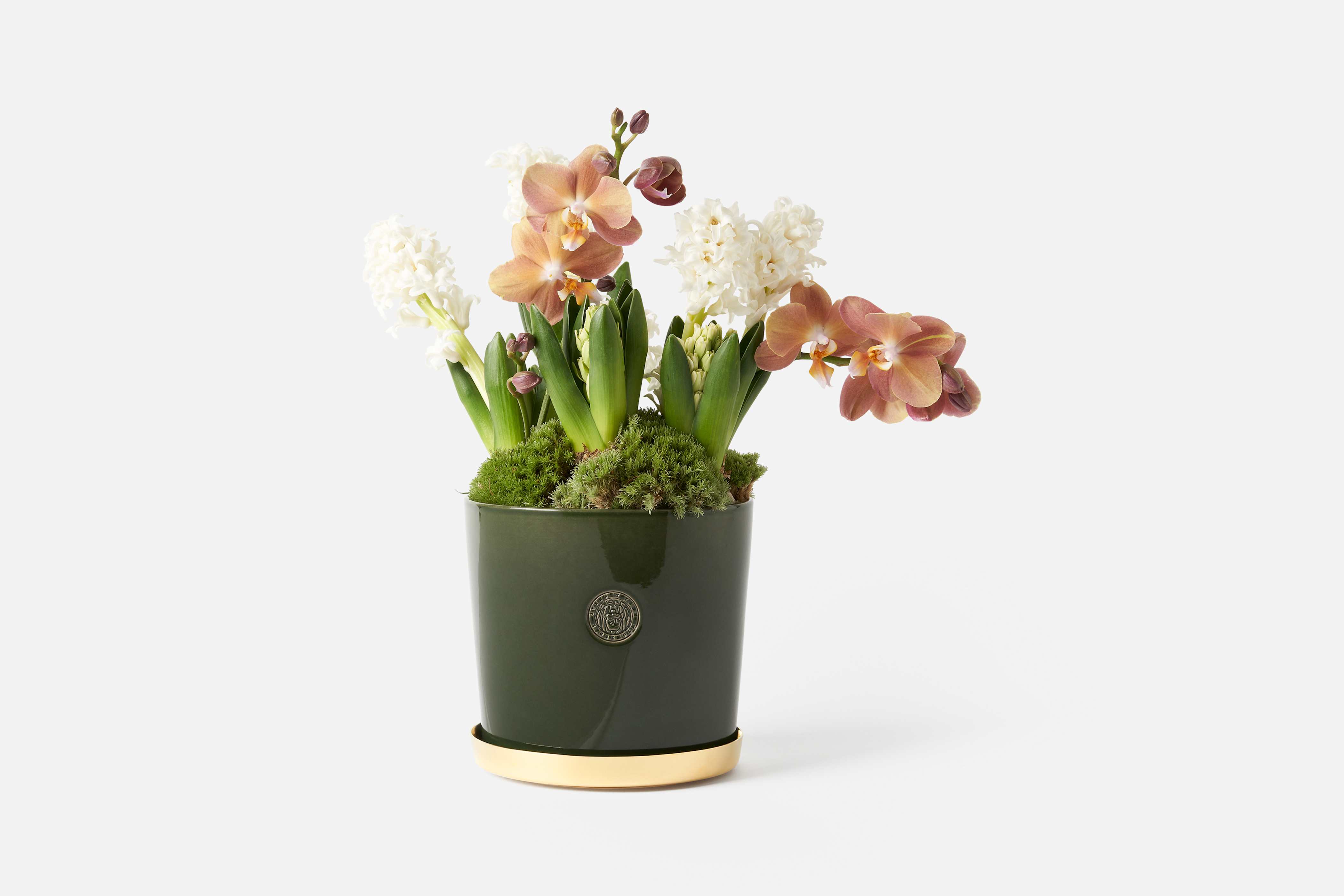 Product detail image 1 / 0