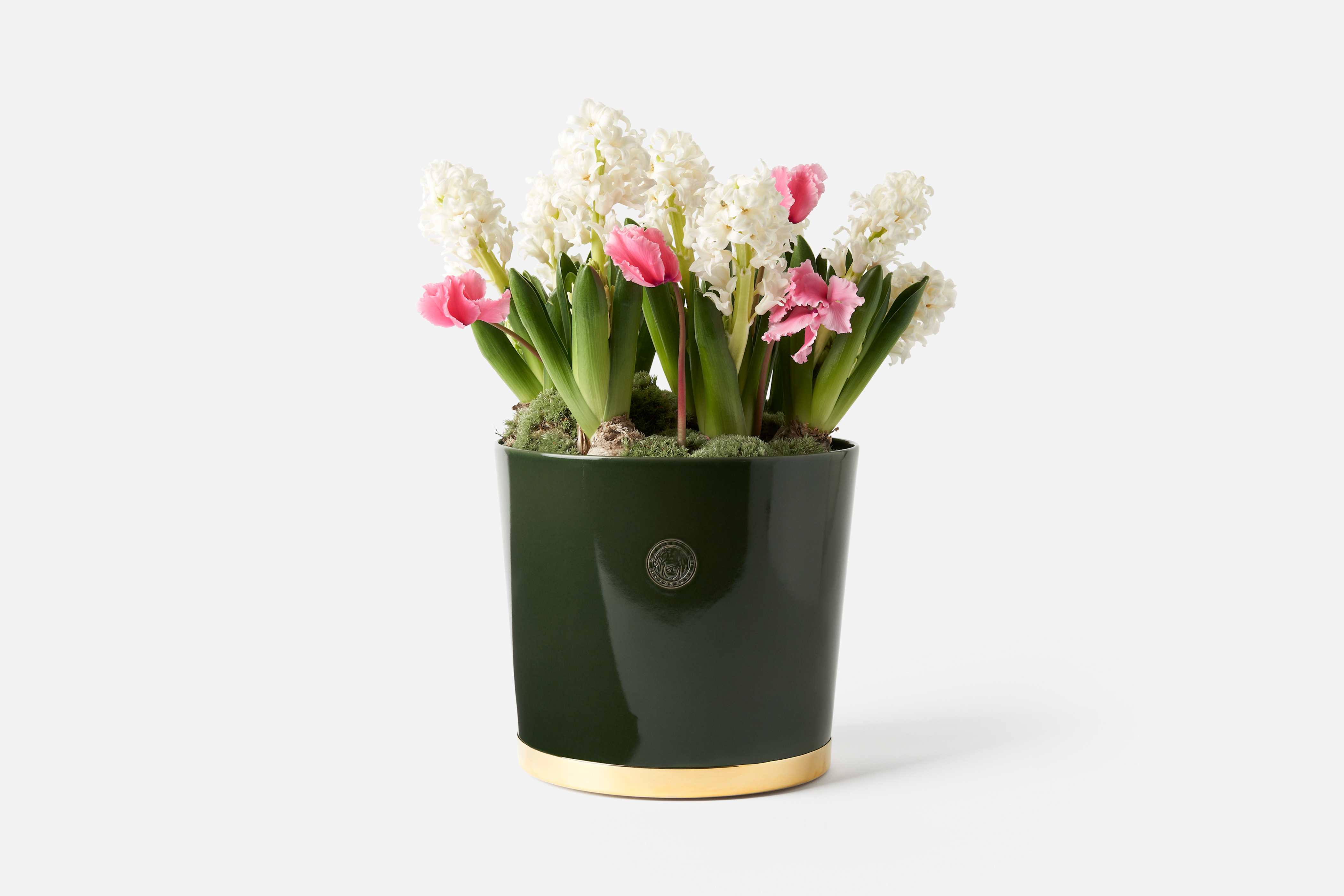Product detail image 1 / 0
