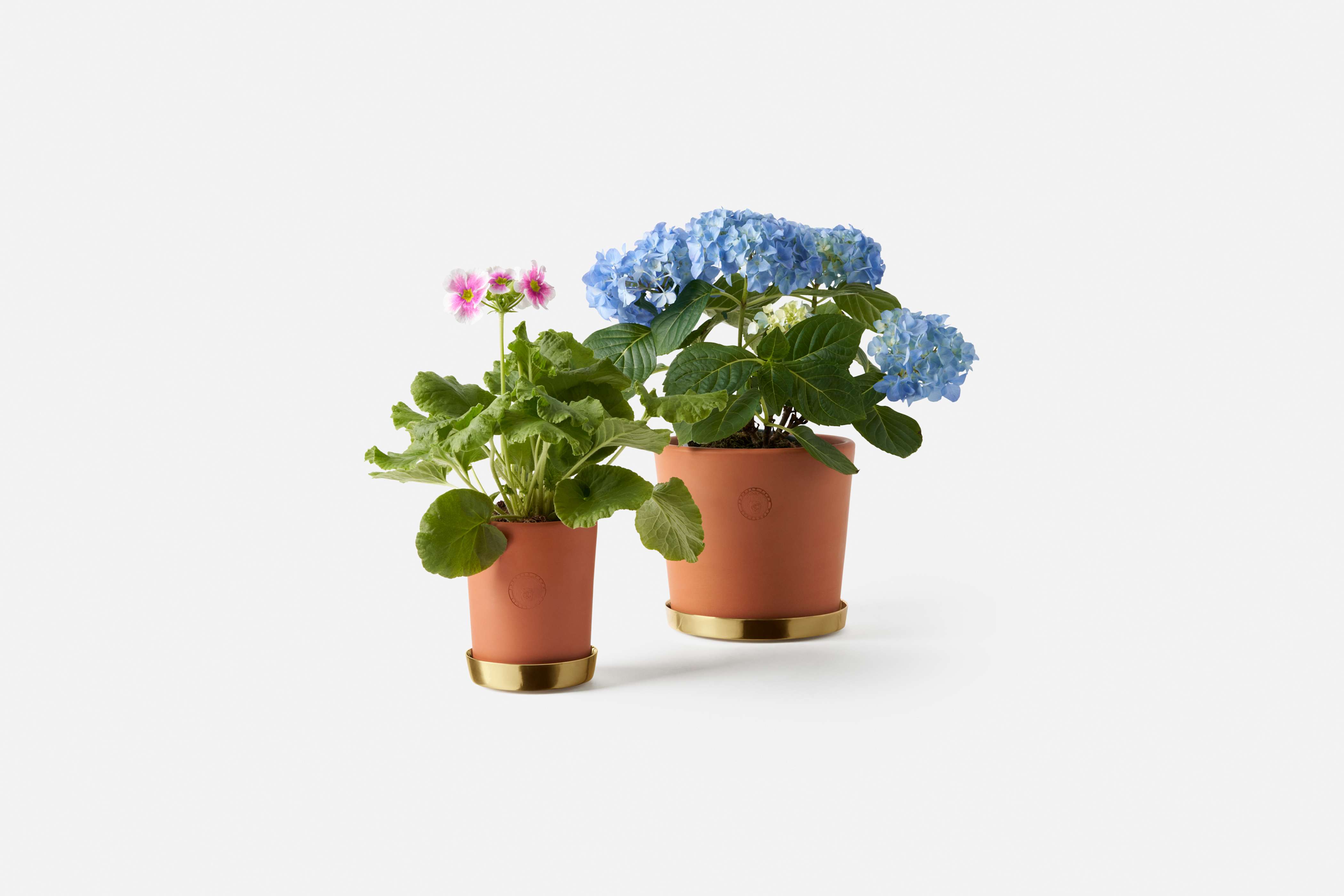 Product detail image 1 / 0