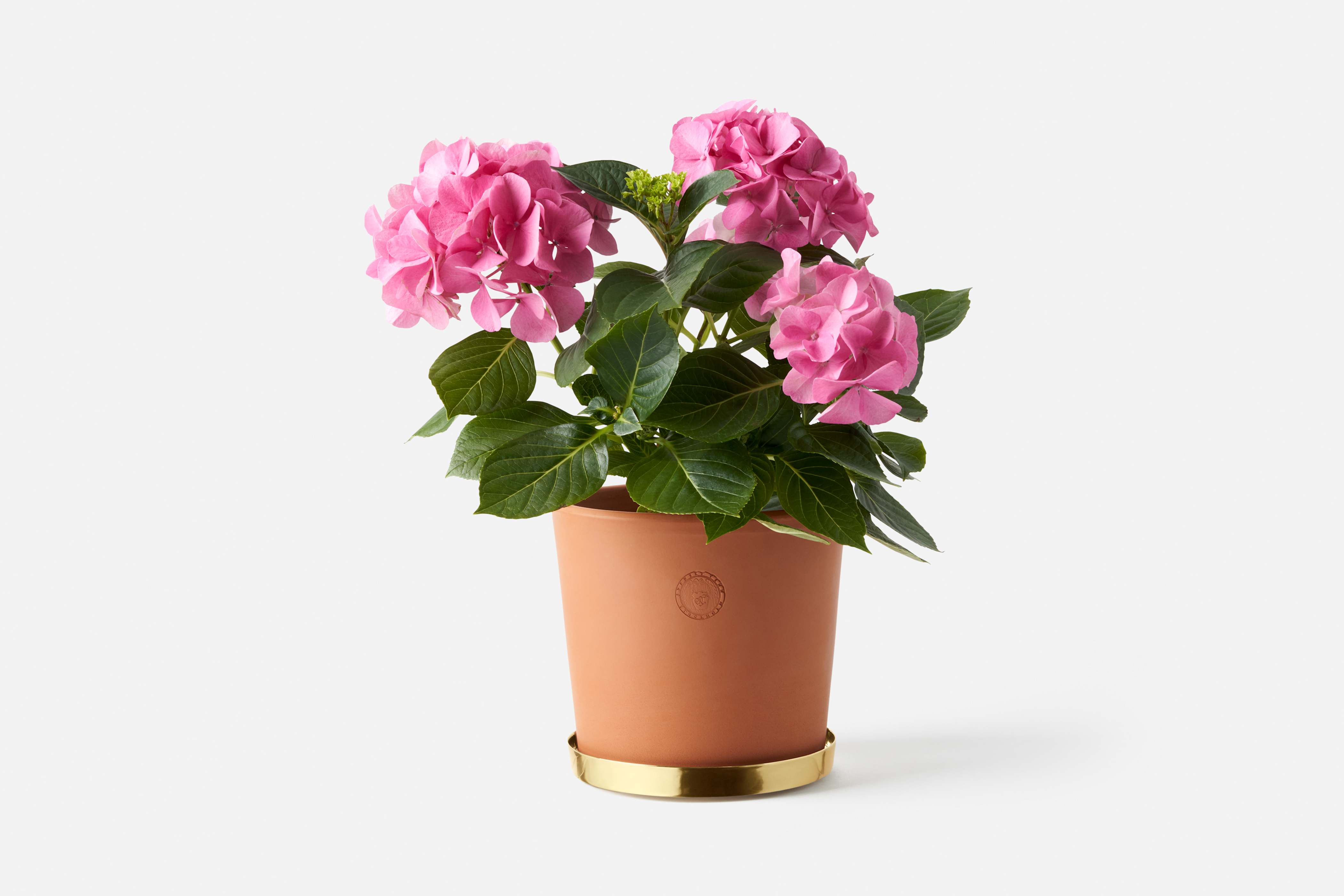 Product detail image 1 / 0