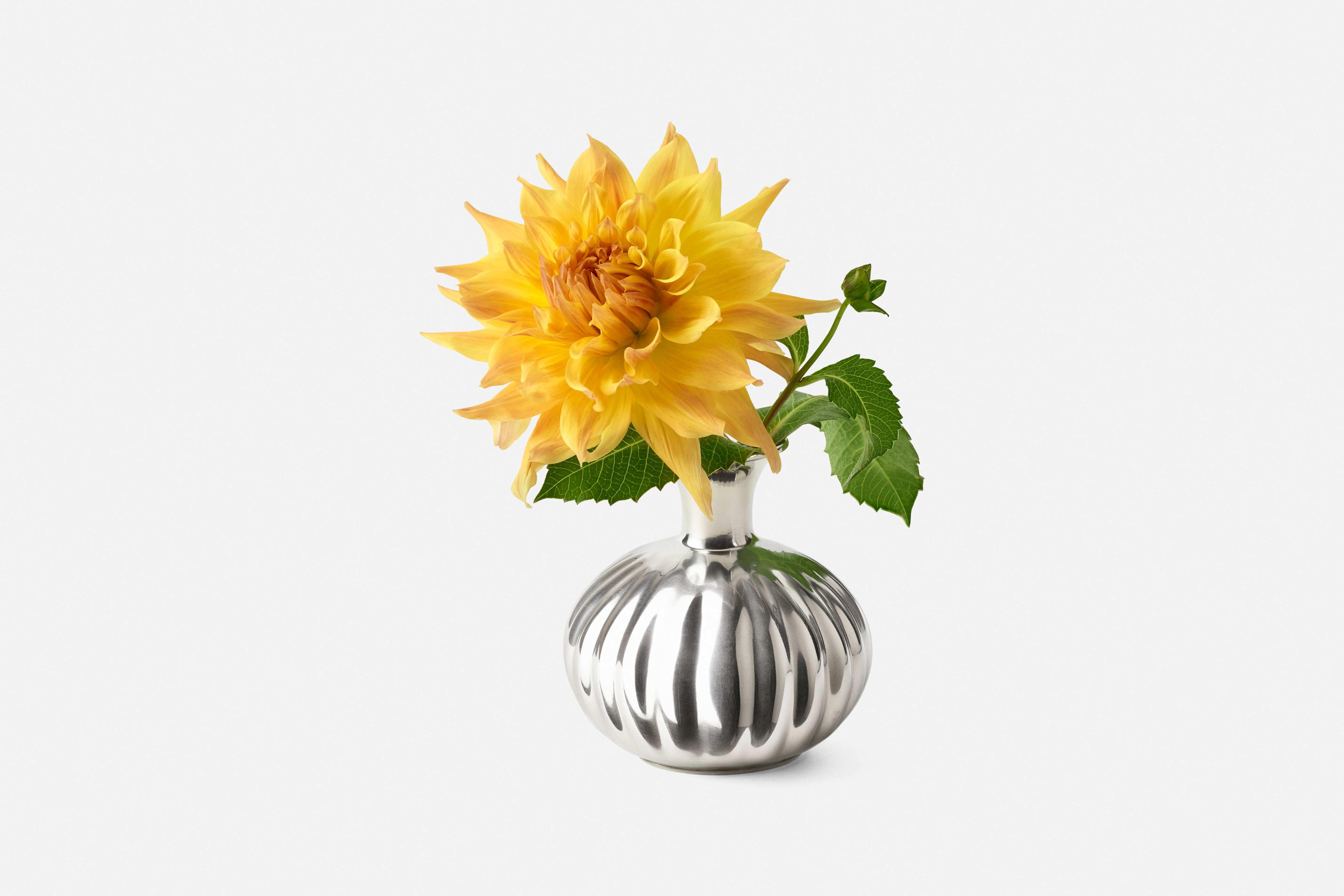 Product detail image 1 / 0