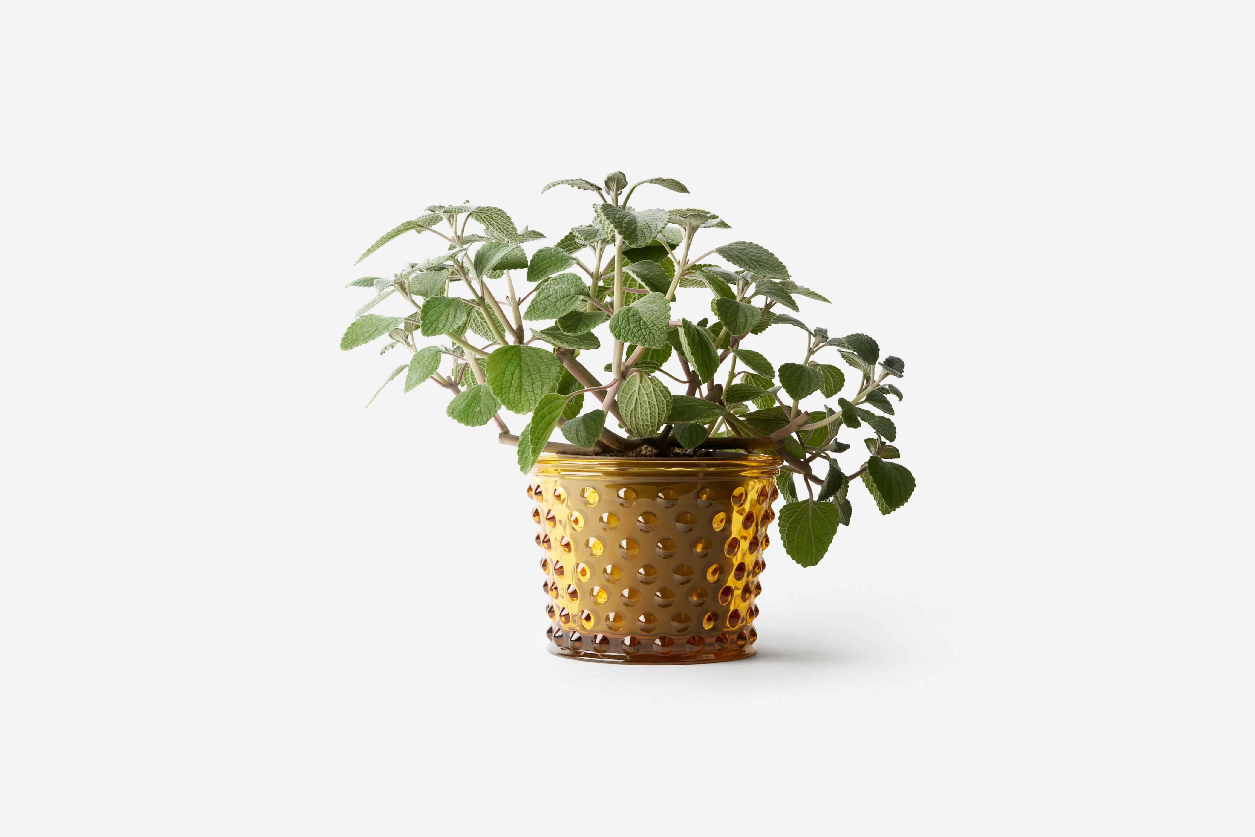 Product detail image 1 / 0