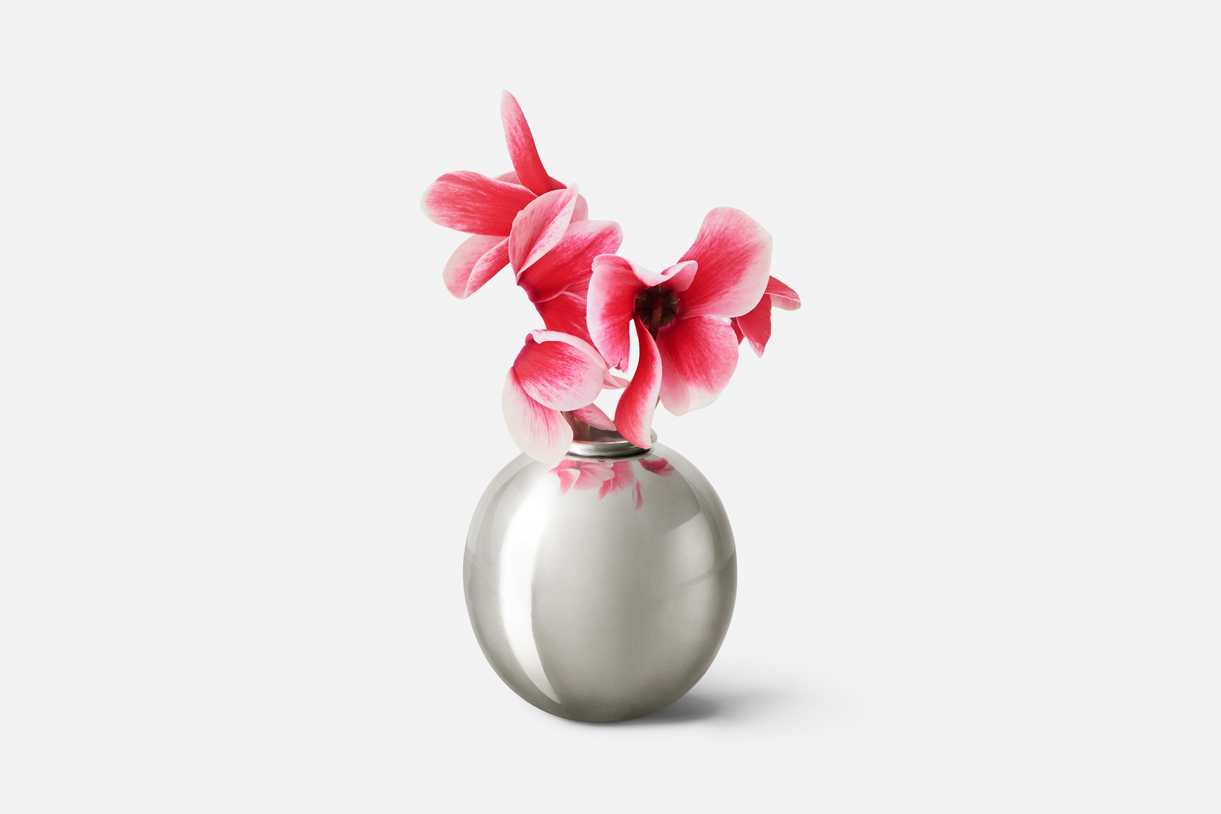 Product detail image 1 / 0