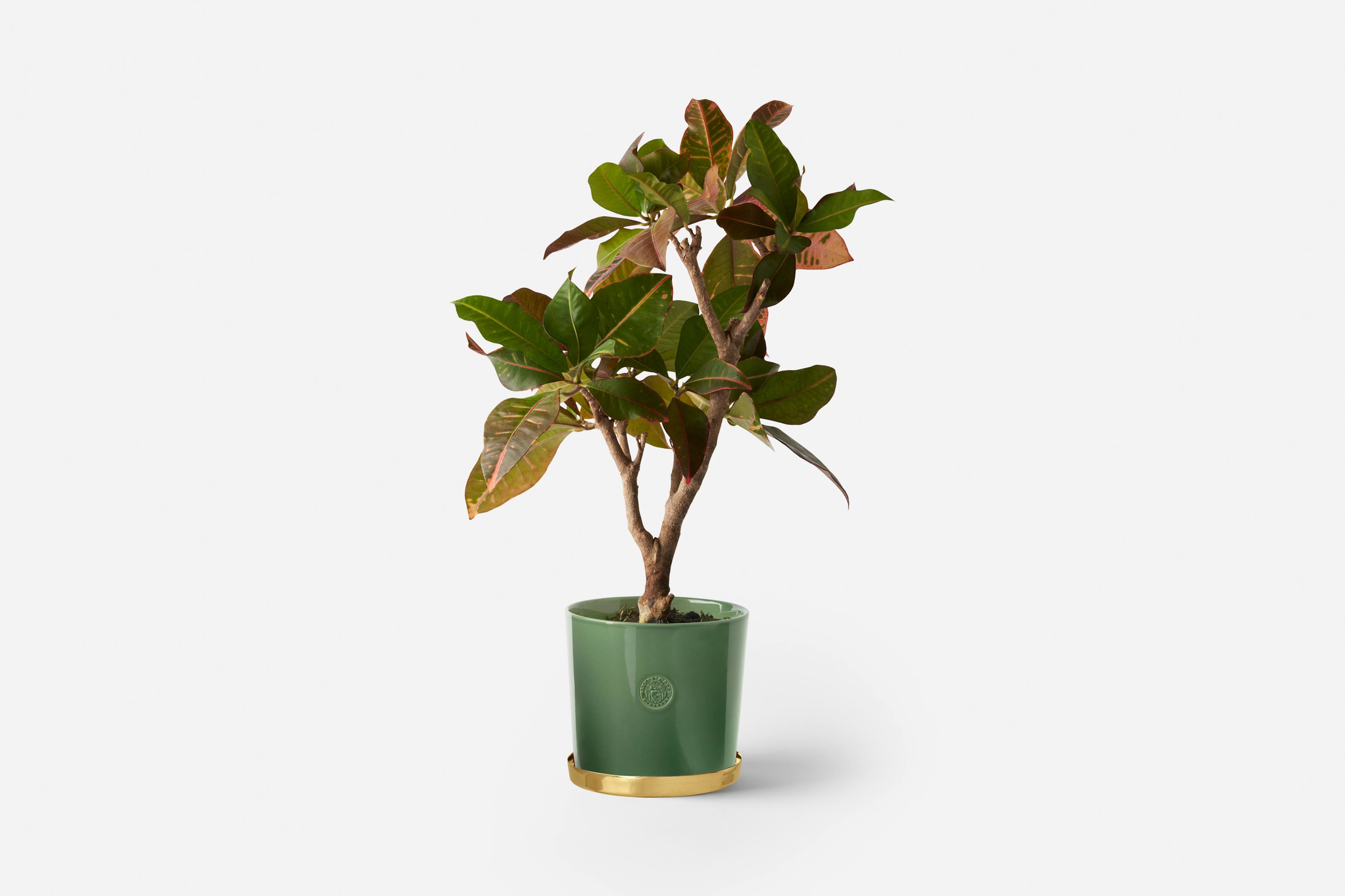 Product detail image 1 / 0