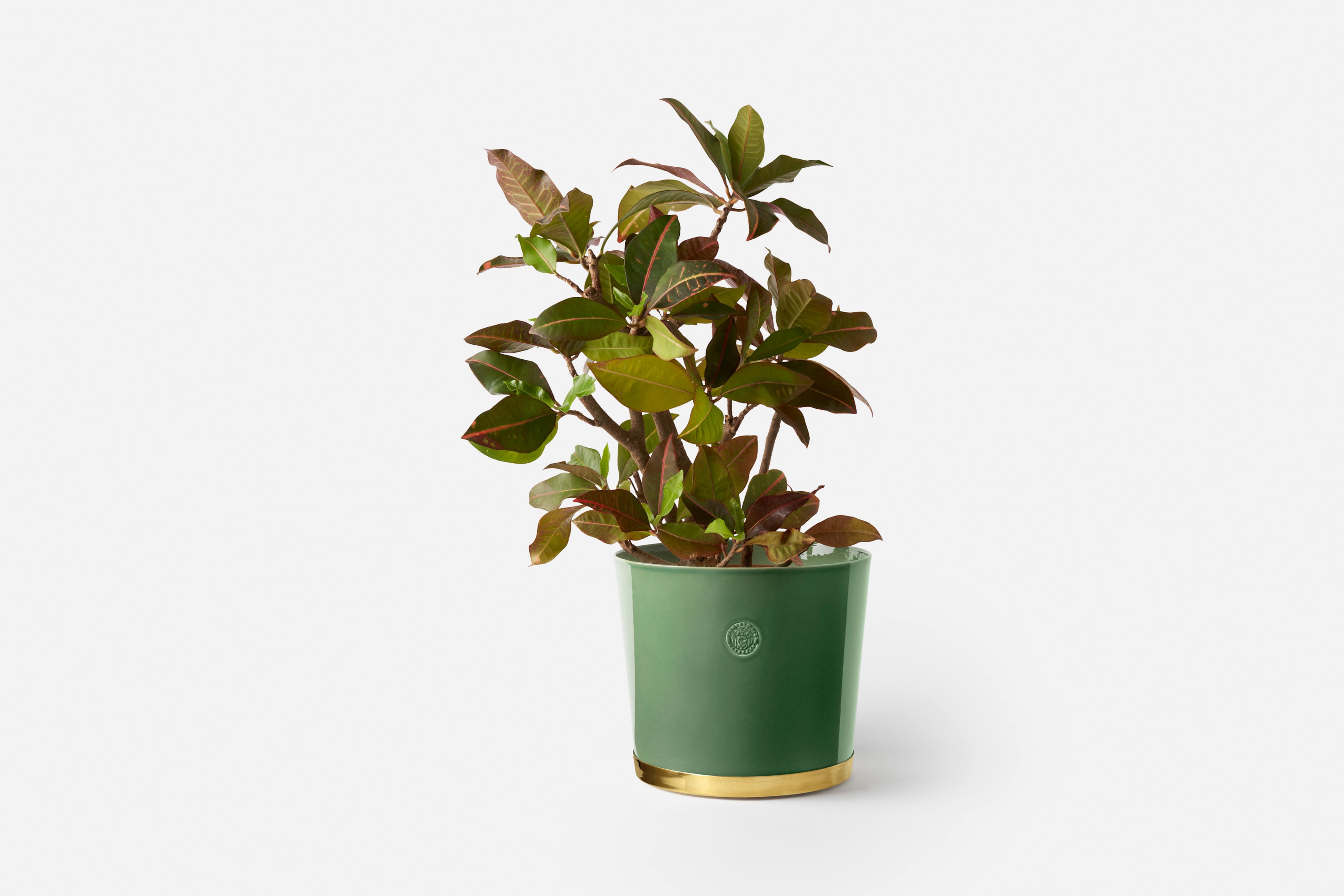 Product detail image 1 / 0