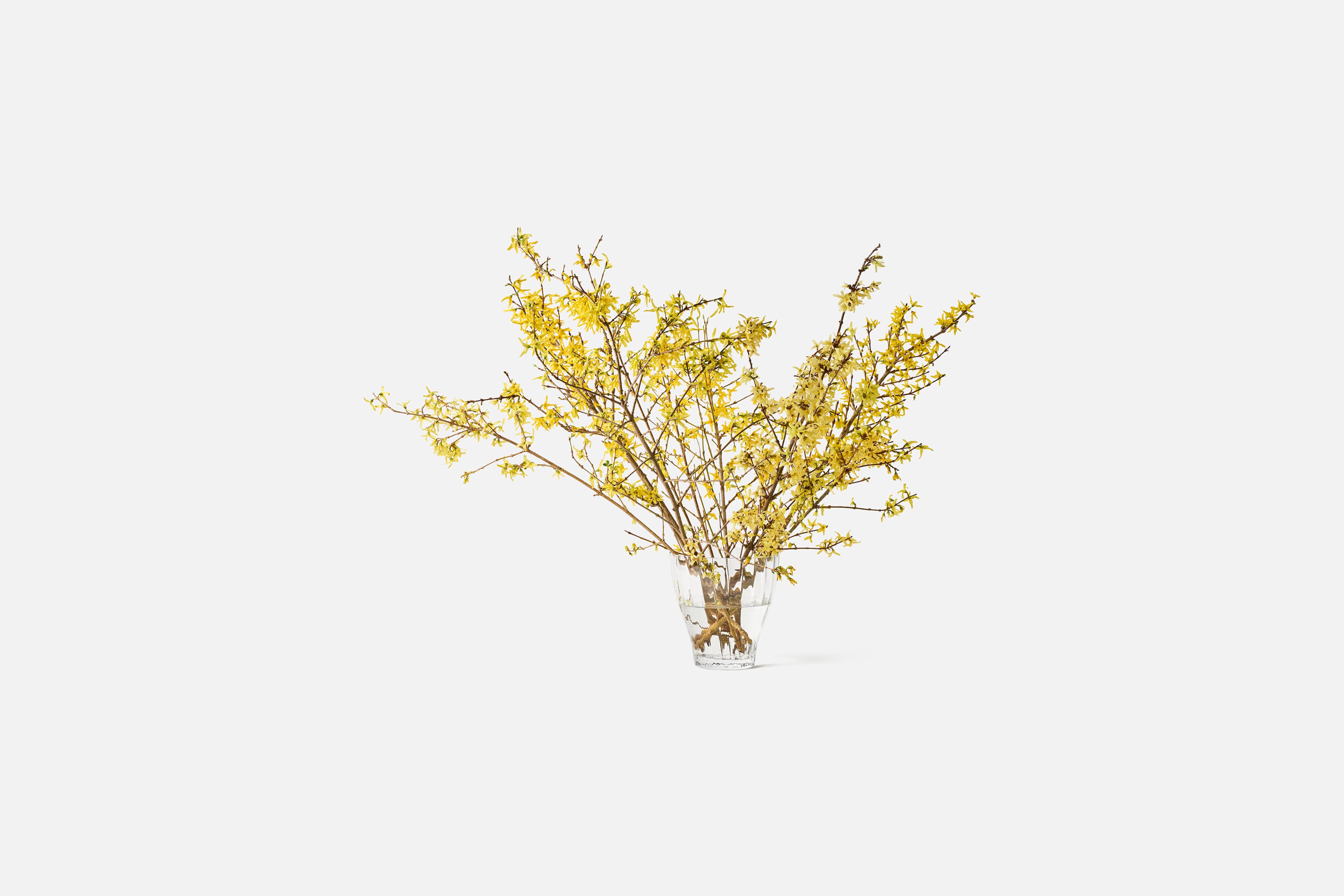 Product detail image 1 / 0