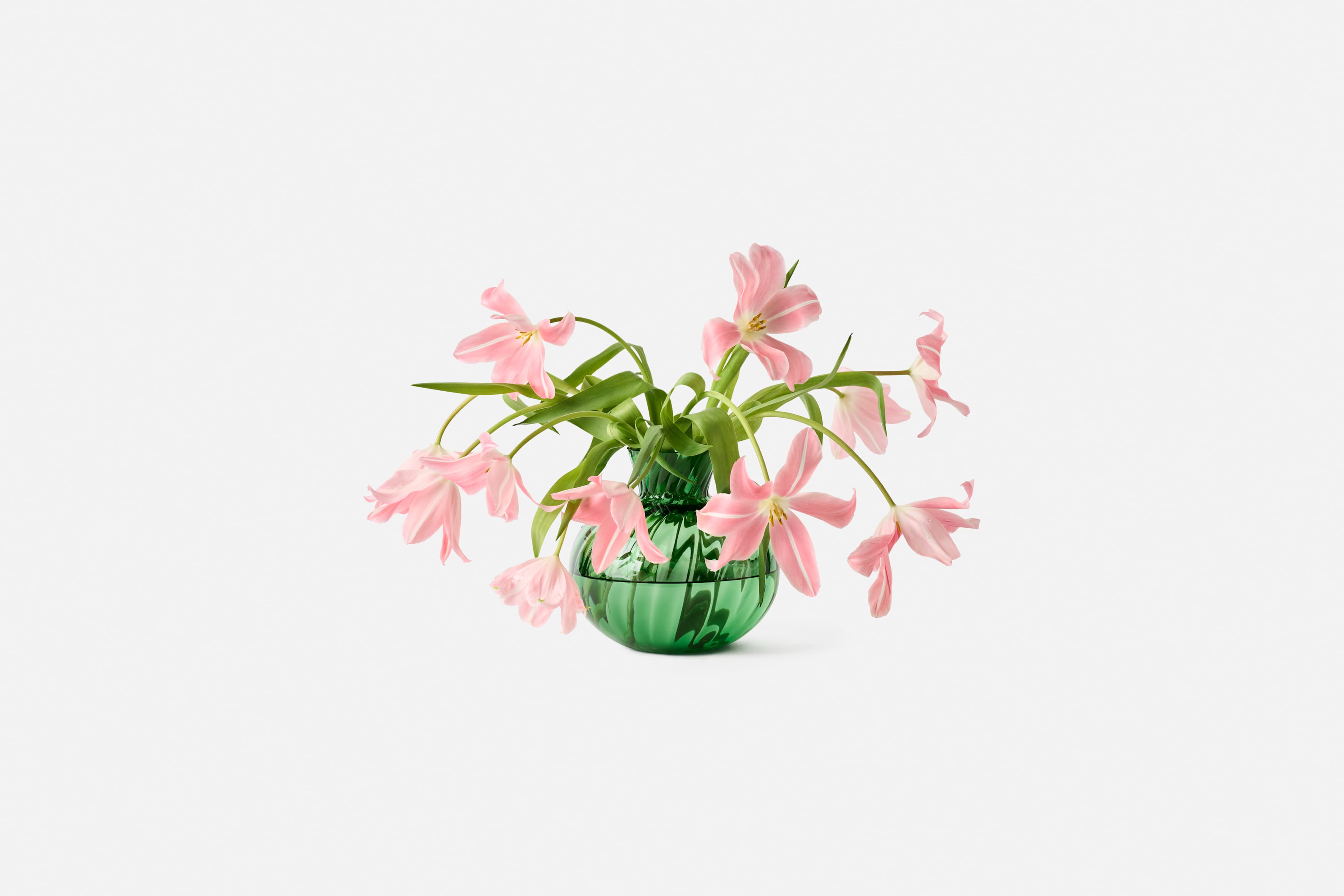 Product detail image 1 / 0