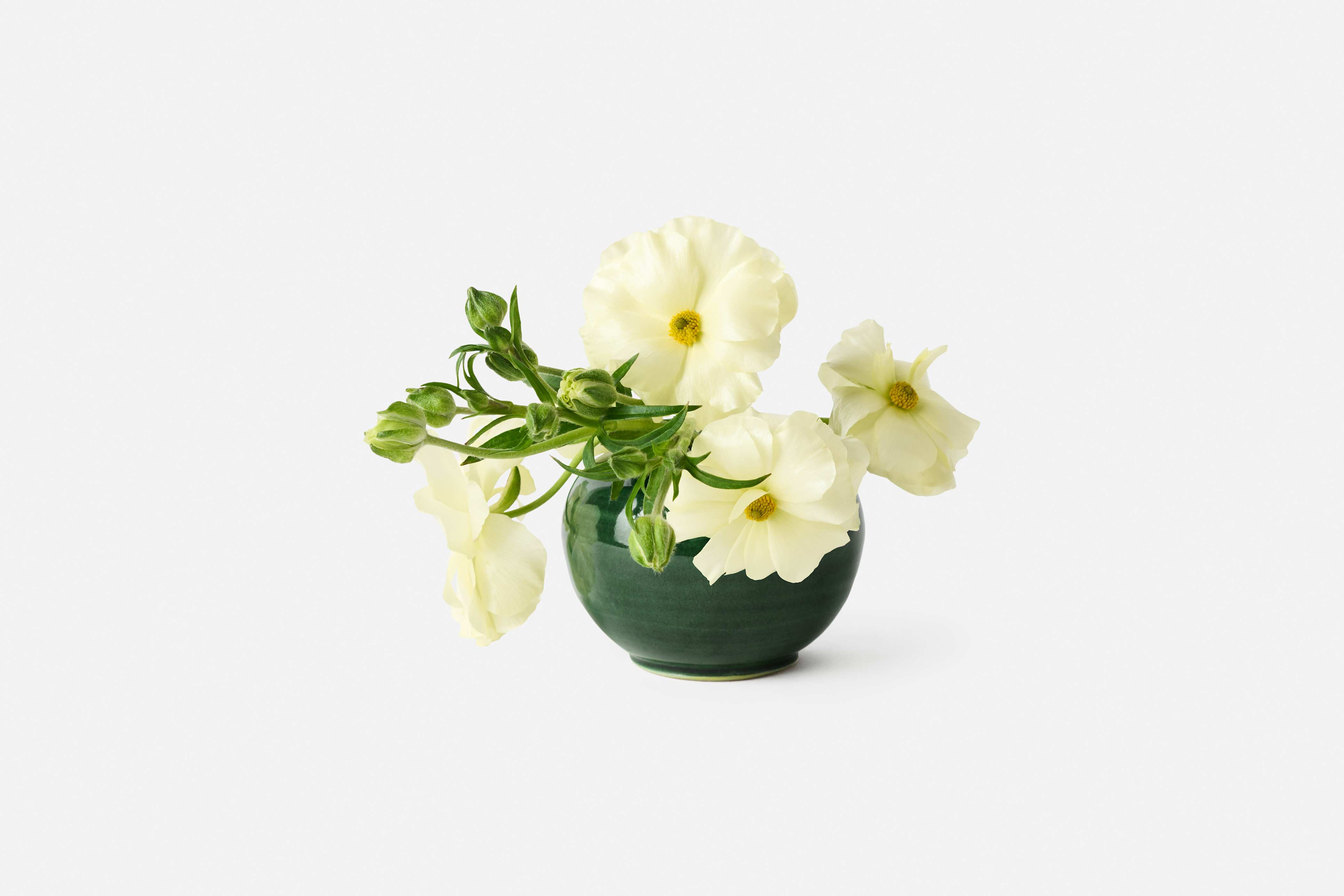 Product detail image 1 / 0