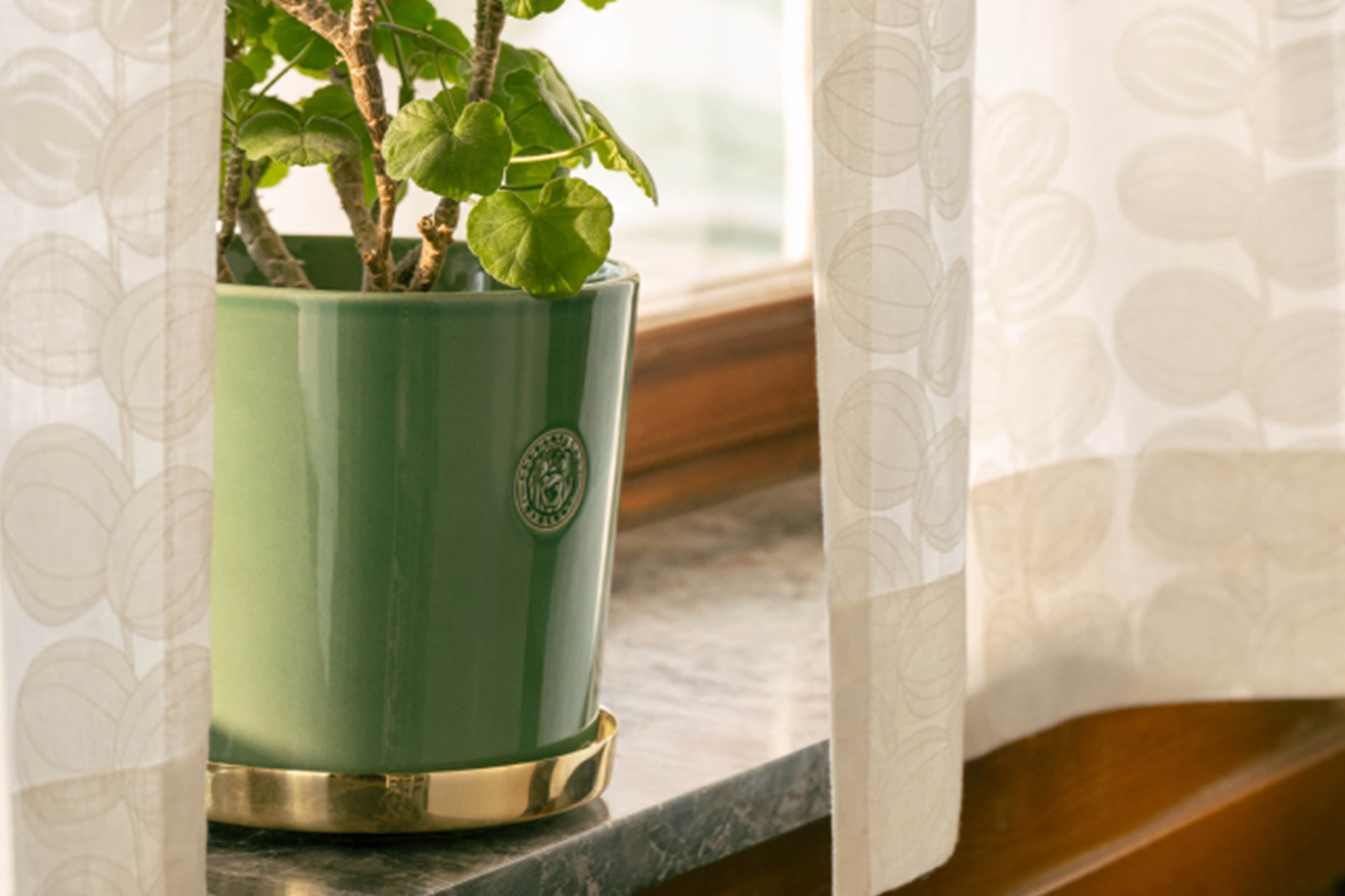 Product detail image 1 / 0