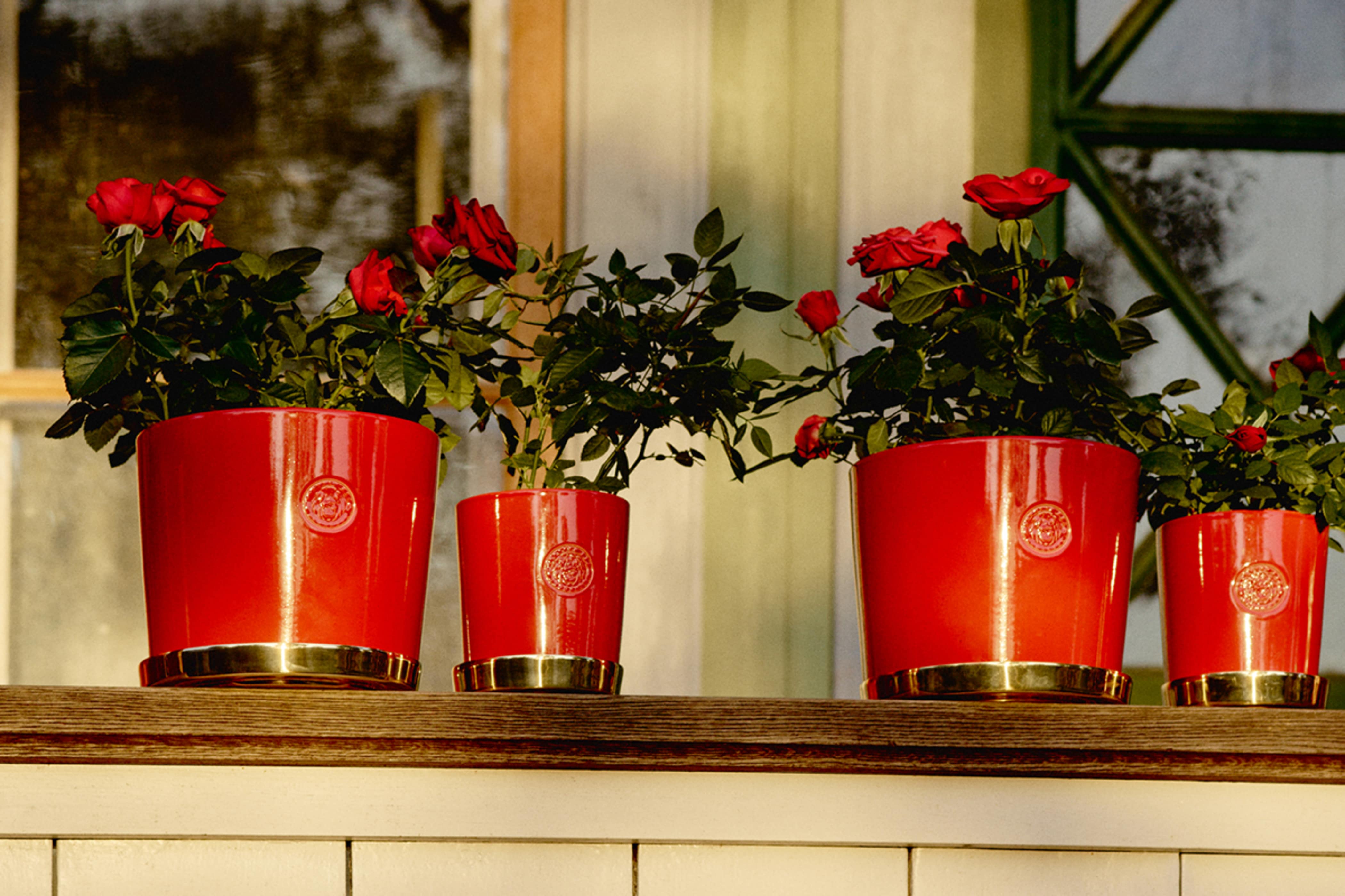 Product detail image 1 / 0