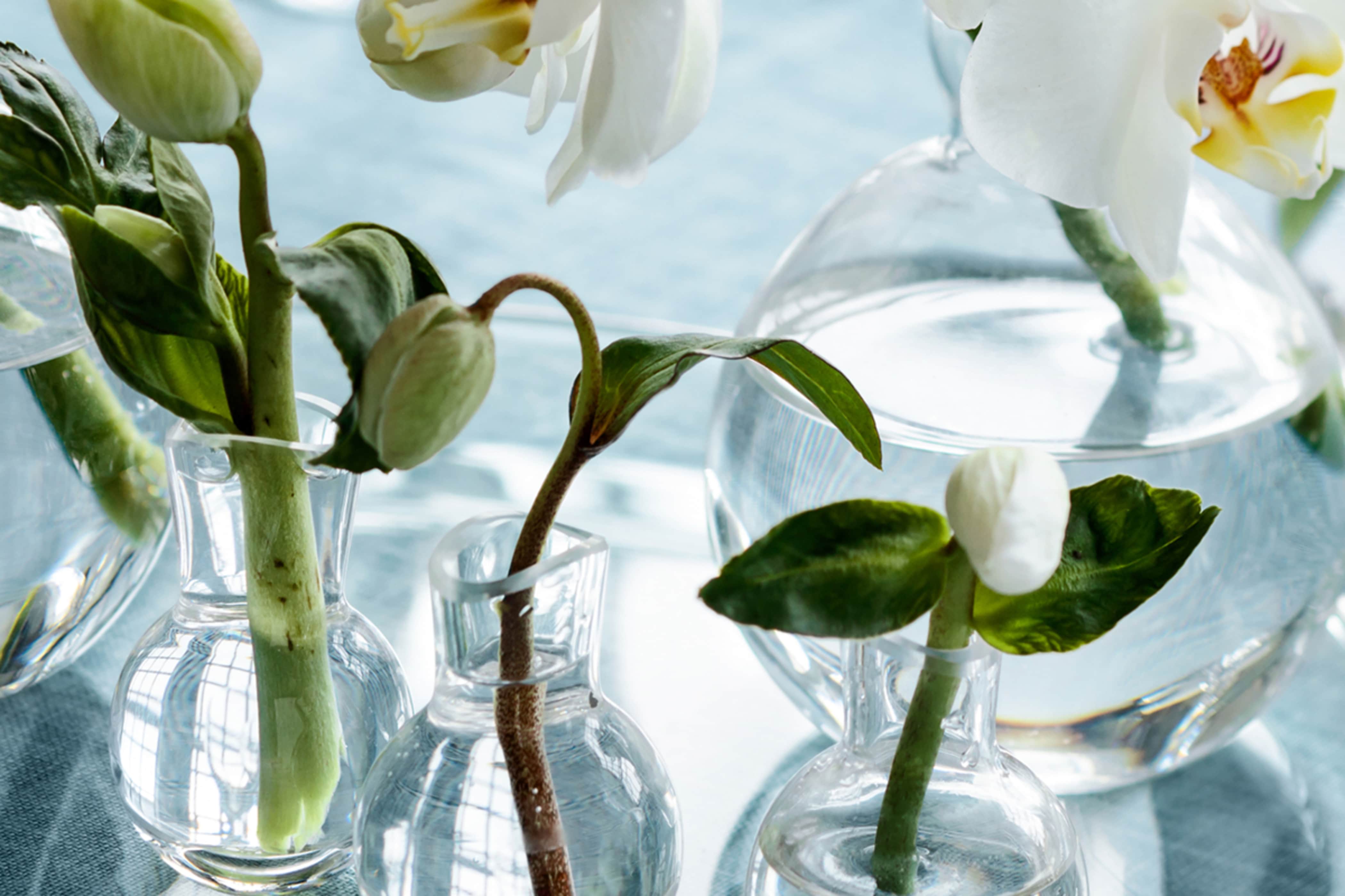 Product detail image 1 / 0