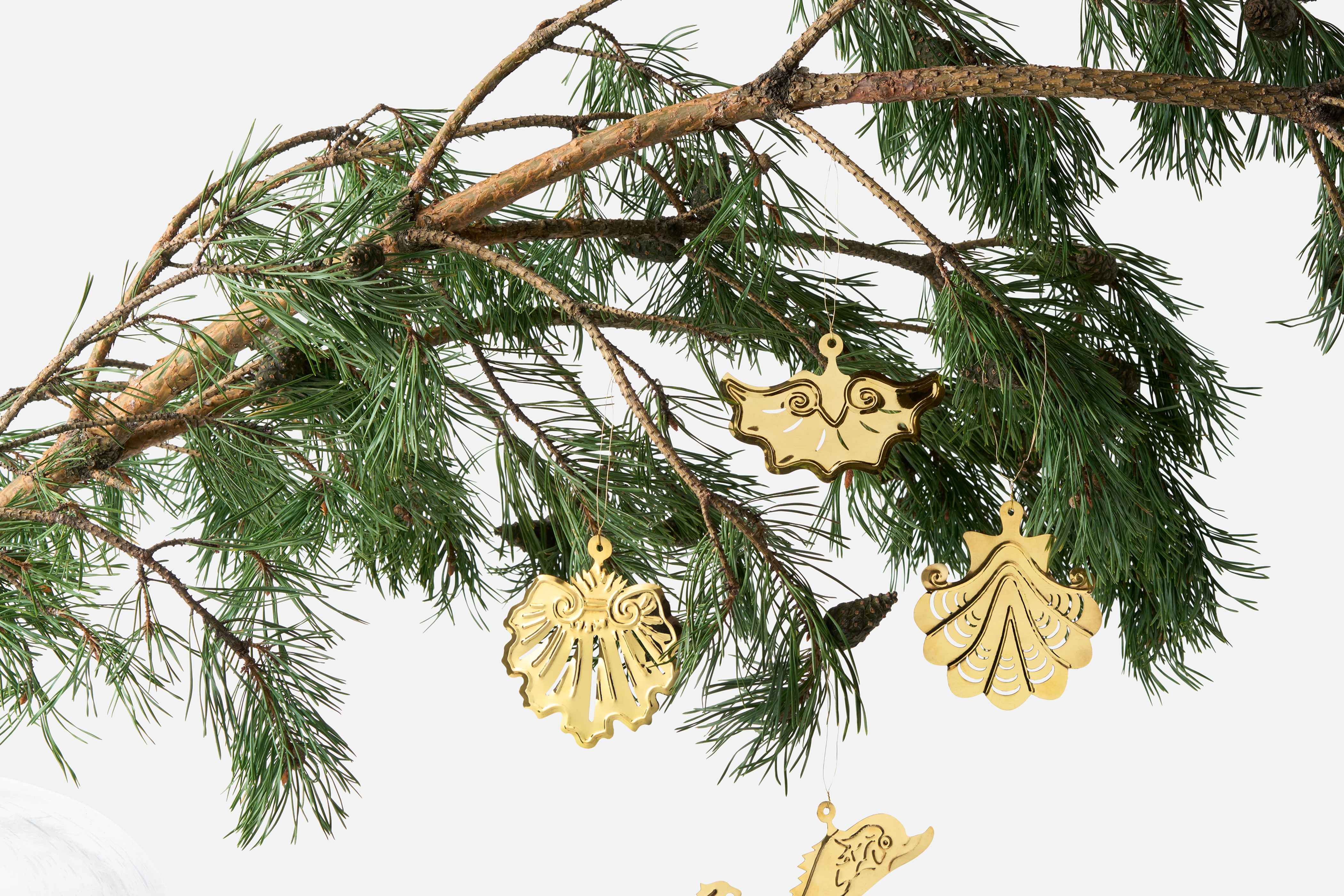 Product detail image 1 / 0