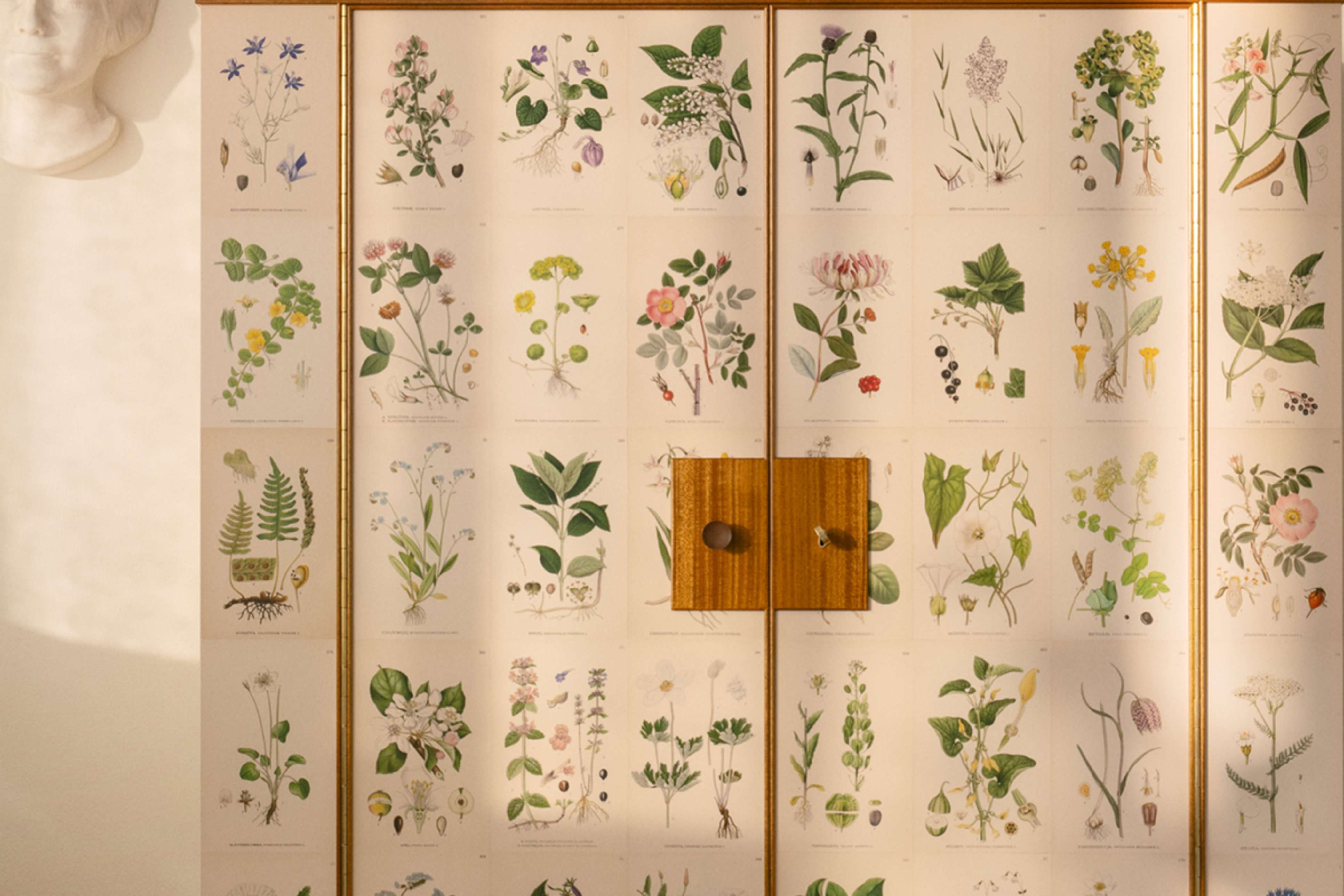 Product detail image 1 / 0