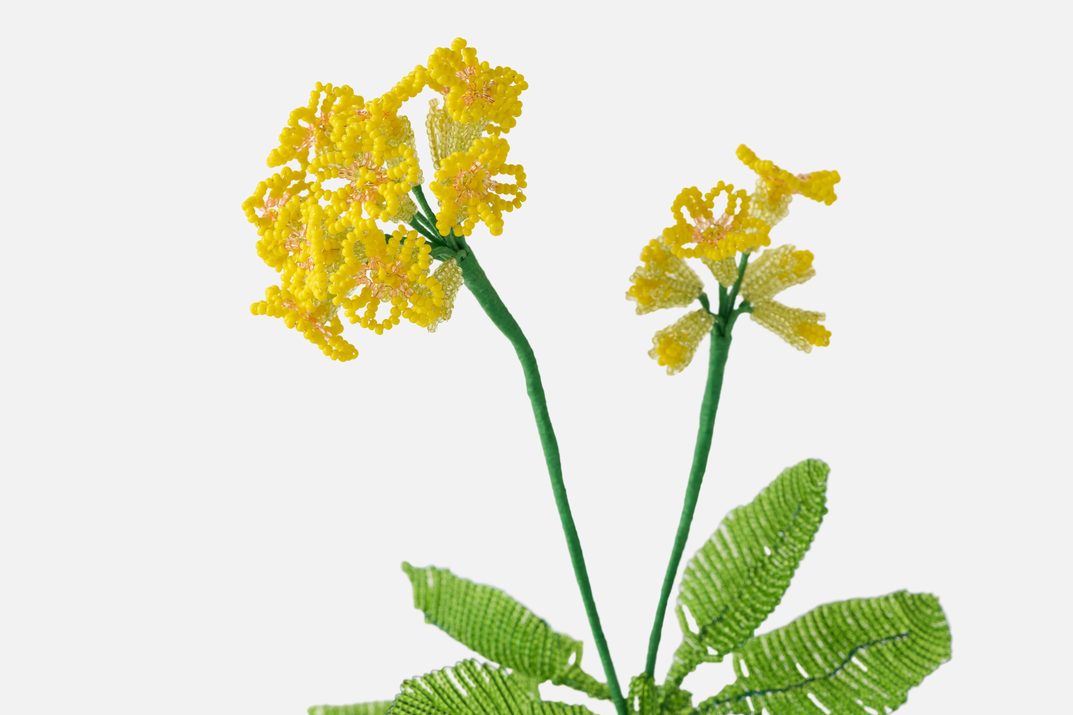 Product detail image 1 / 0