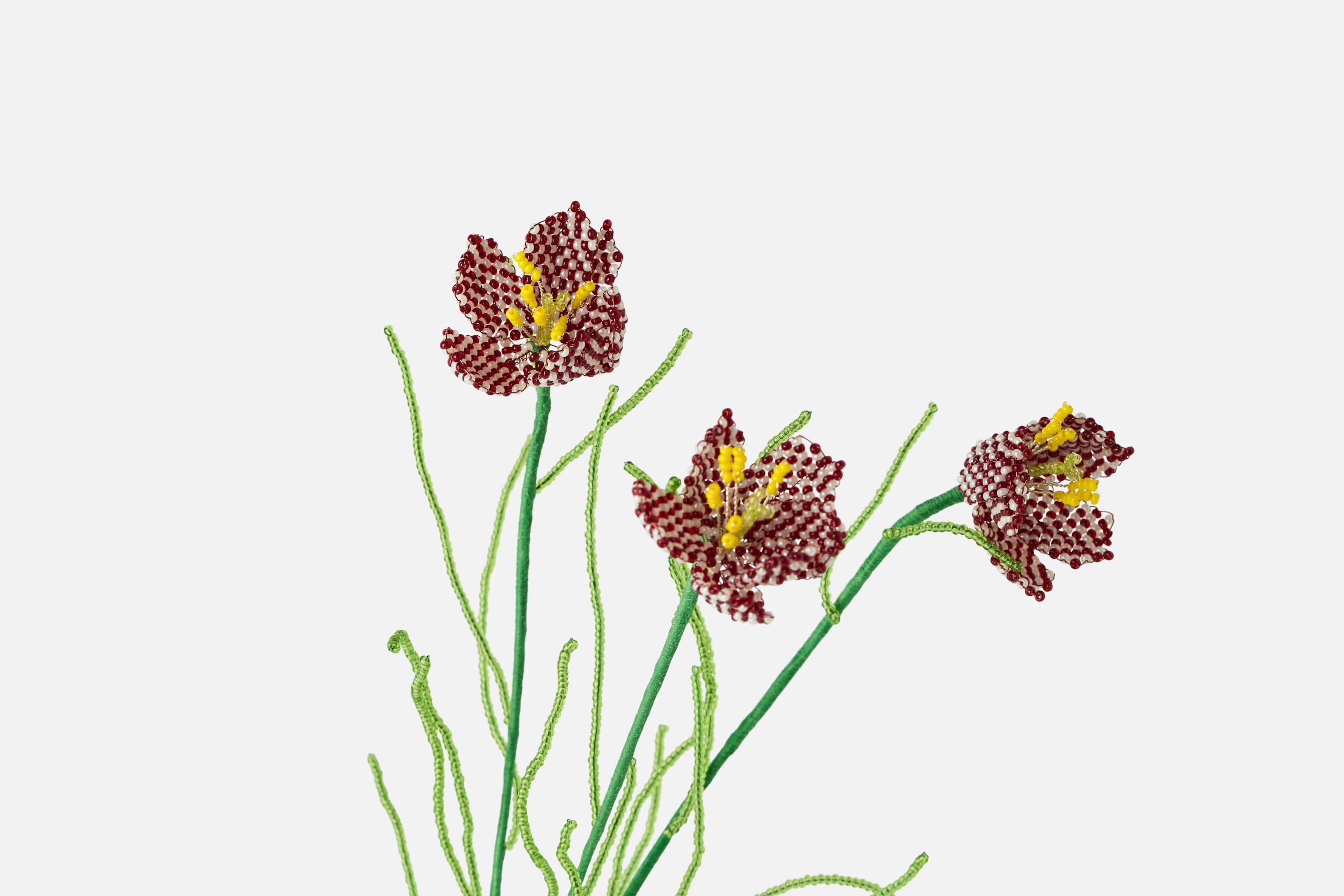 Product detail image 1 / 0