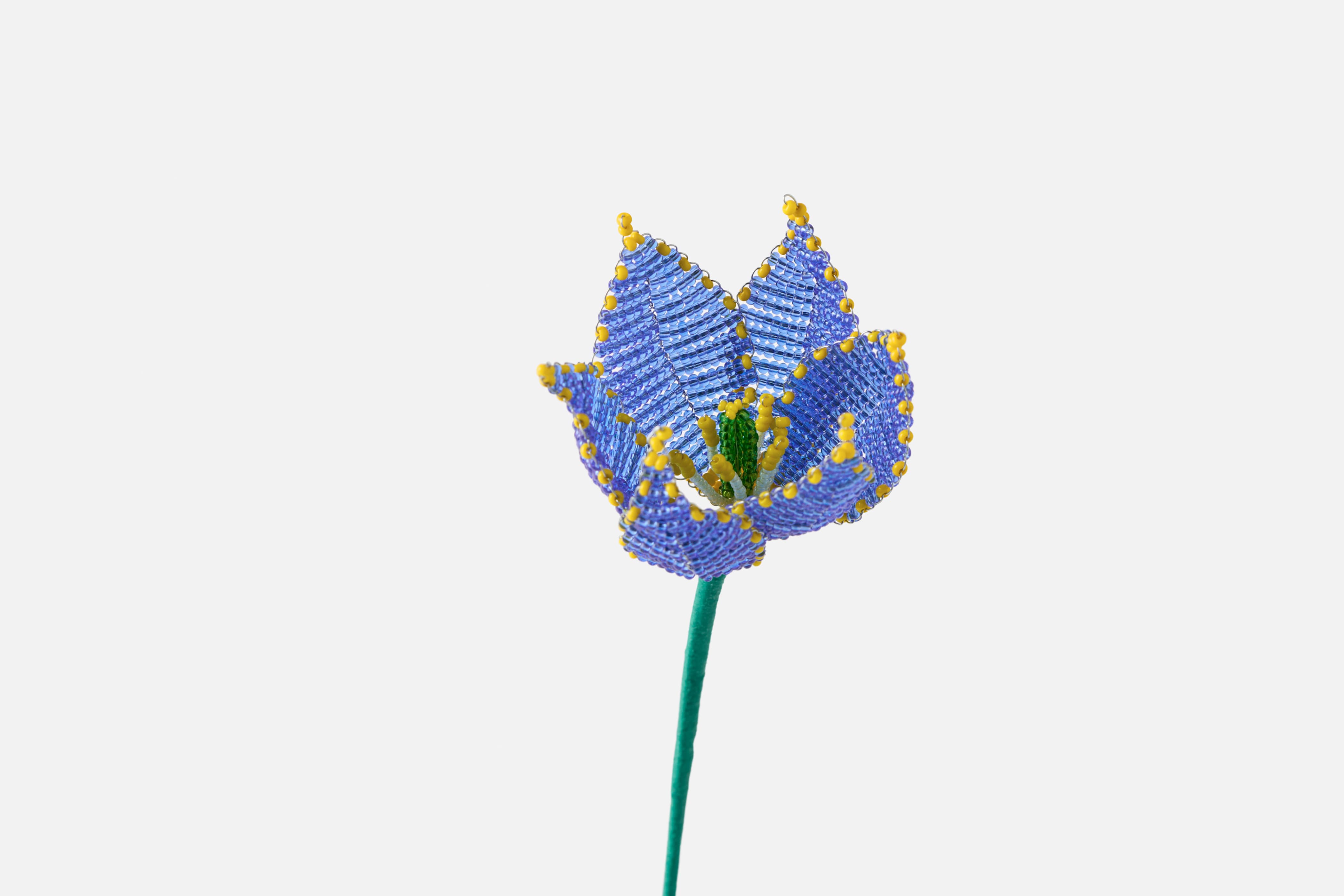 Product detail image 1 / 0