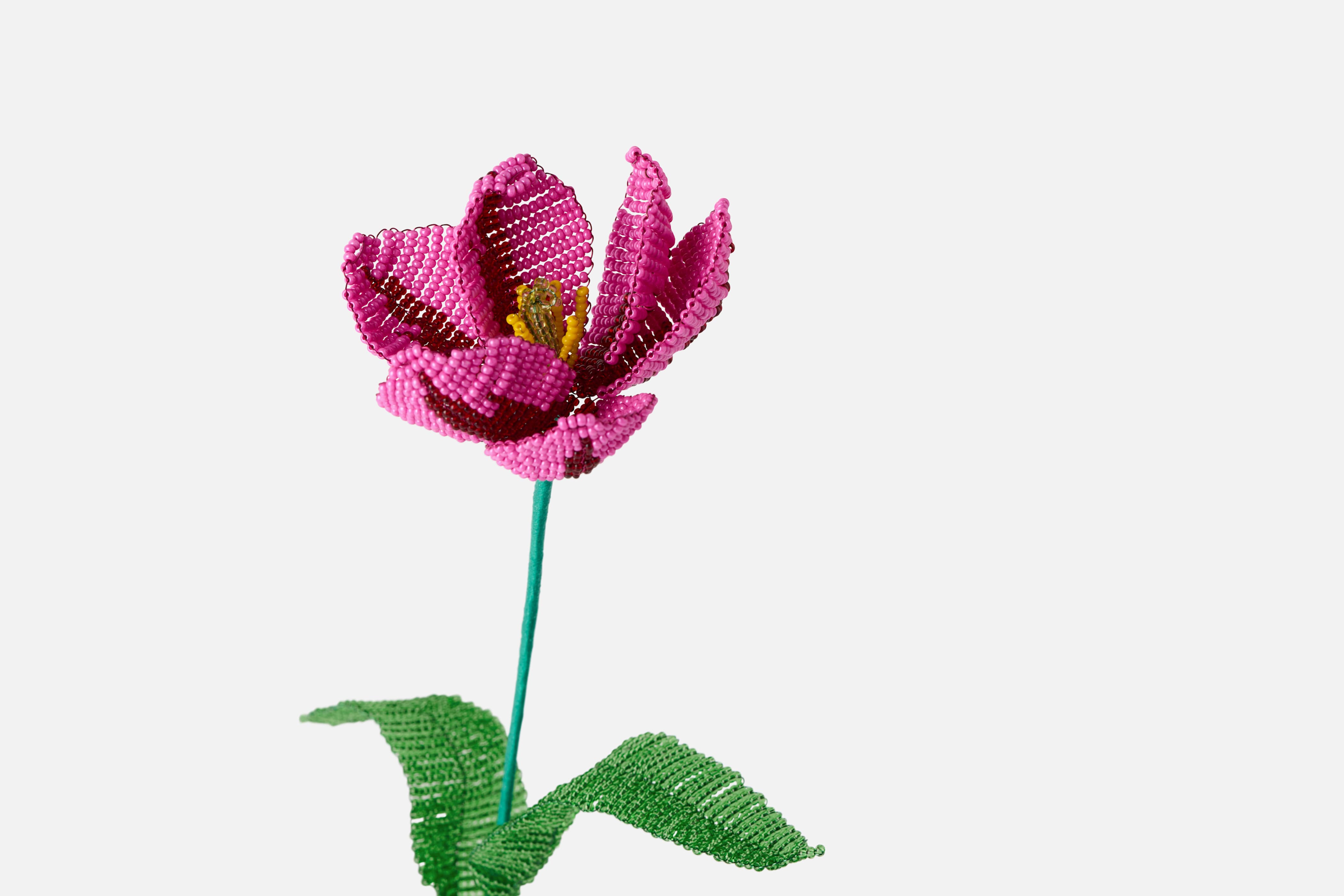 Product detail image 1 / 0