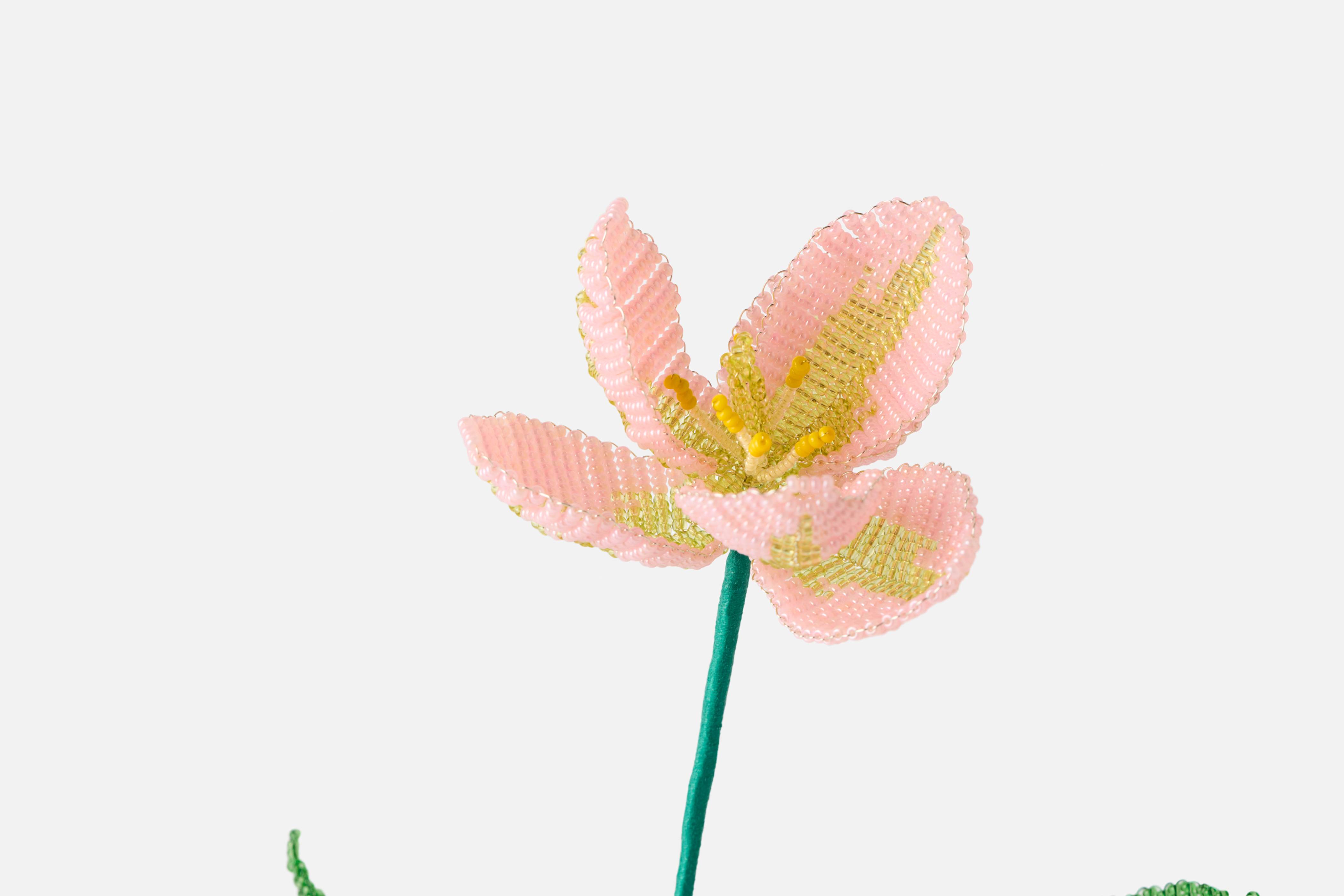 Product detail image 1 / 0