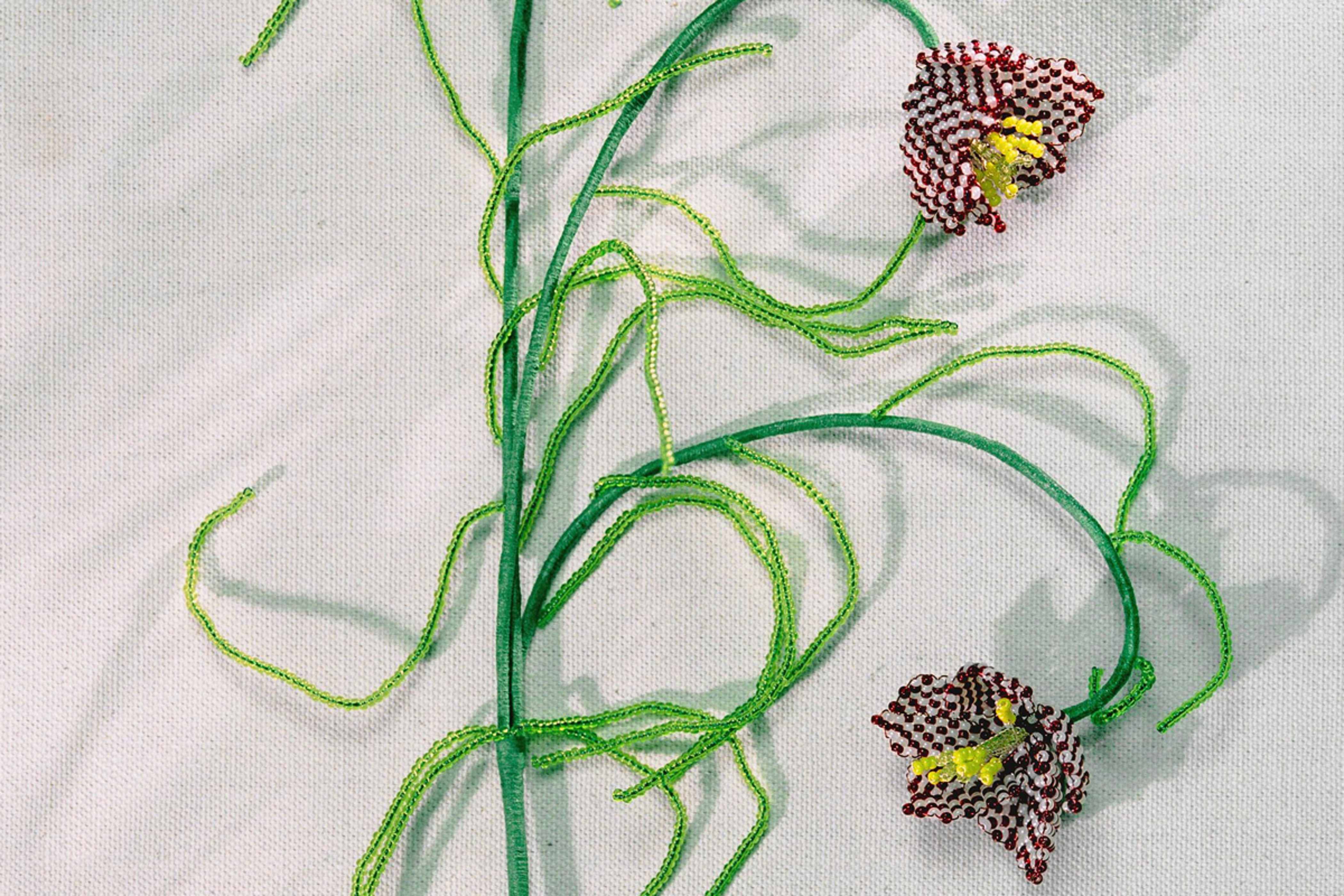 Product detail image 1 / 0