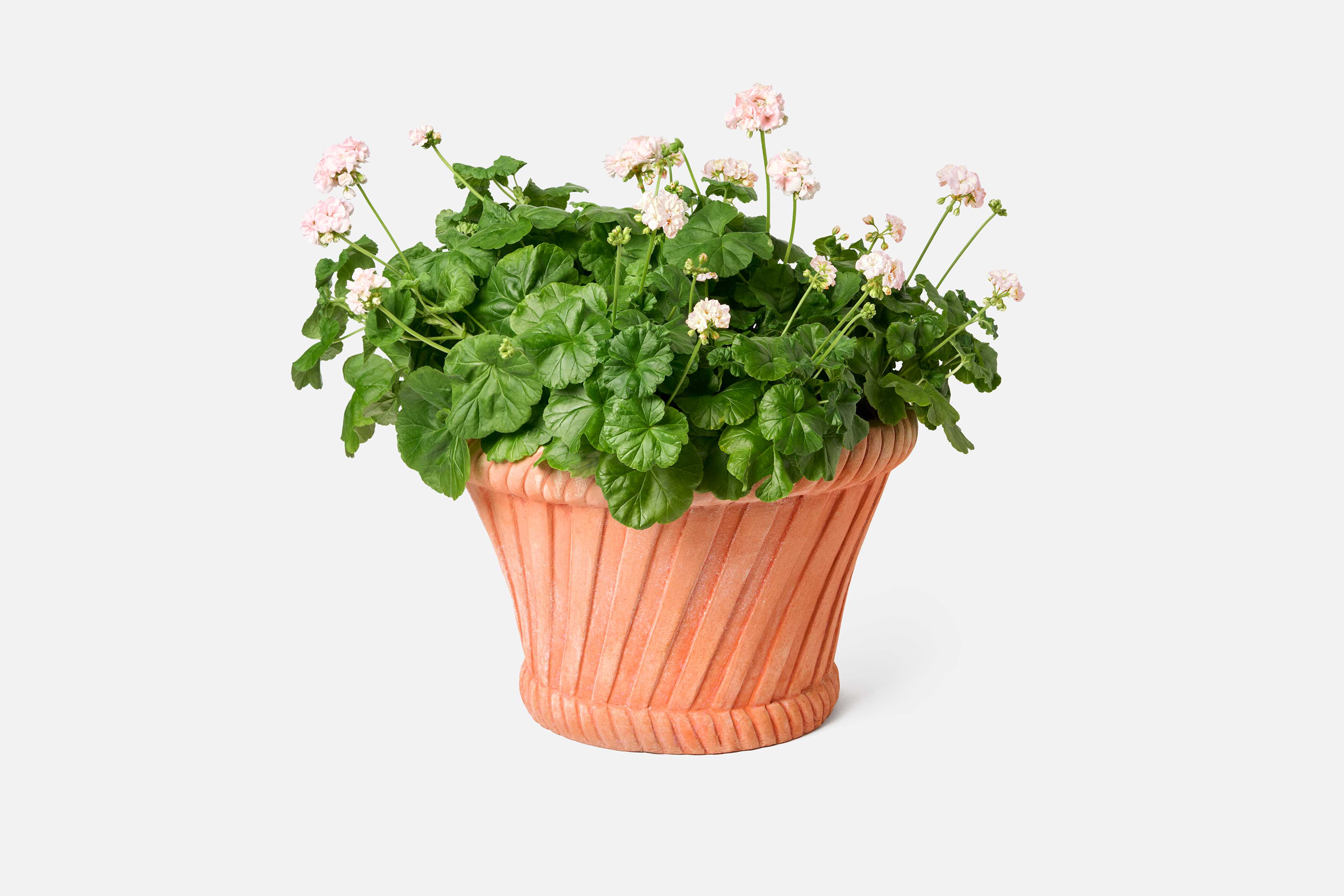 Product detail image 3 / 0